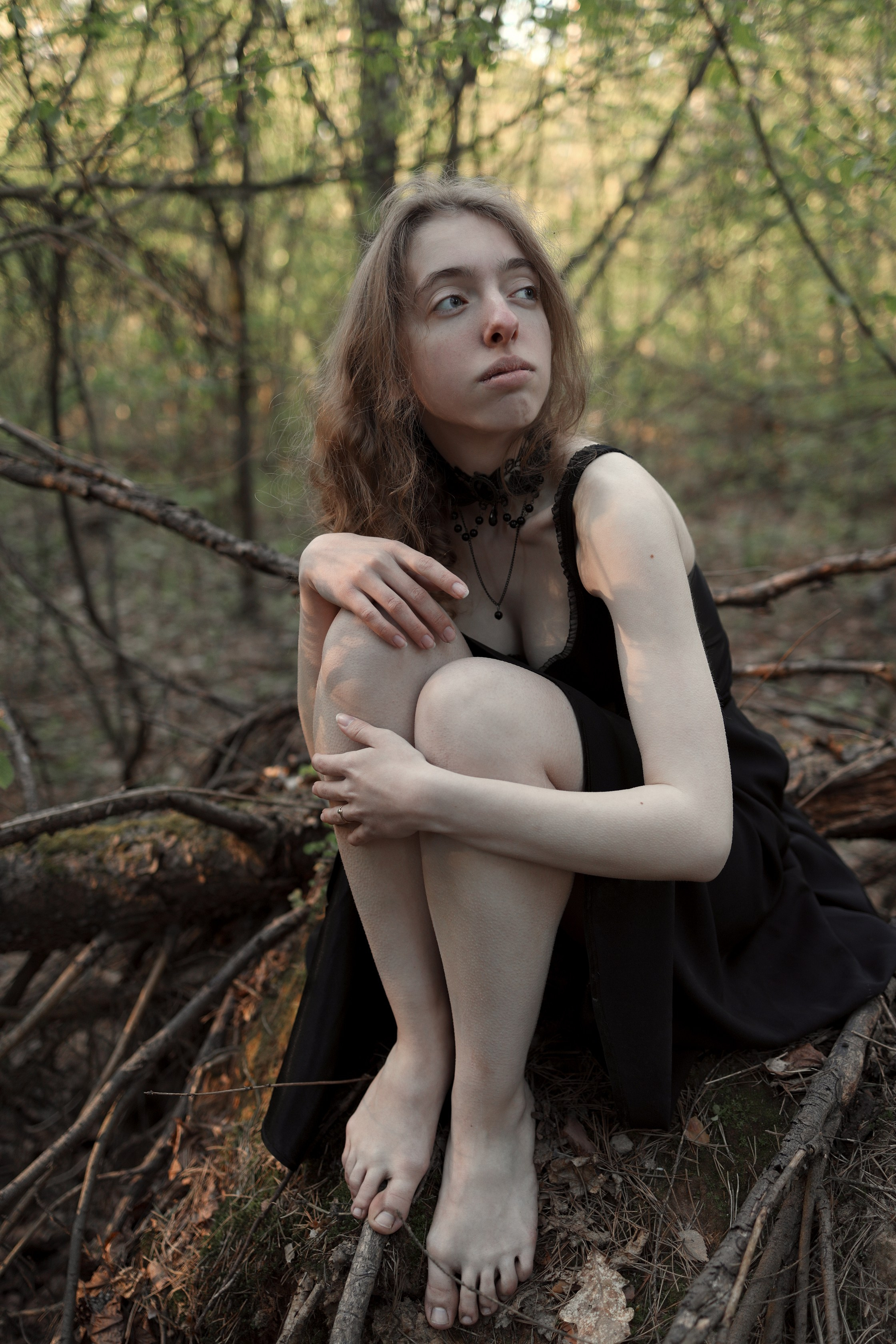 Schutzwald. Арт-фотограф. Coffelisk