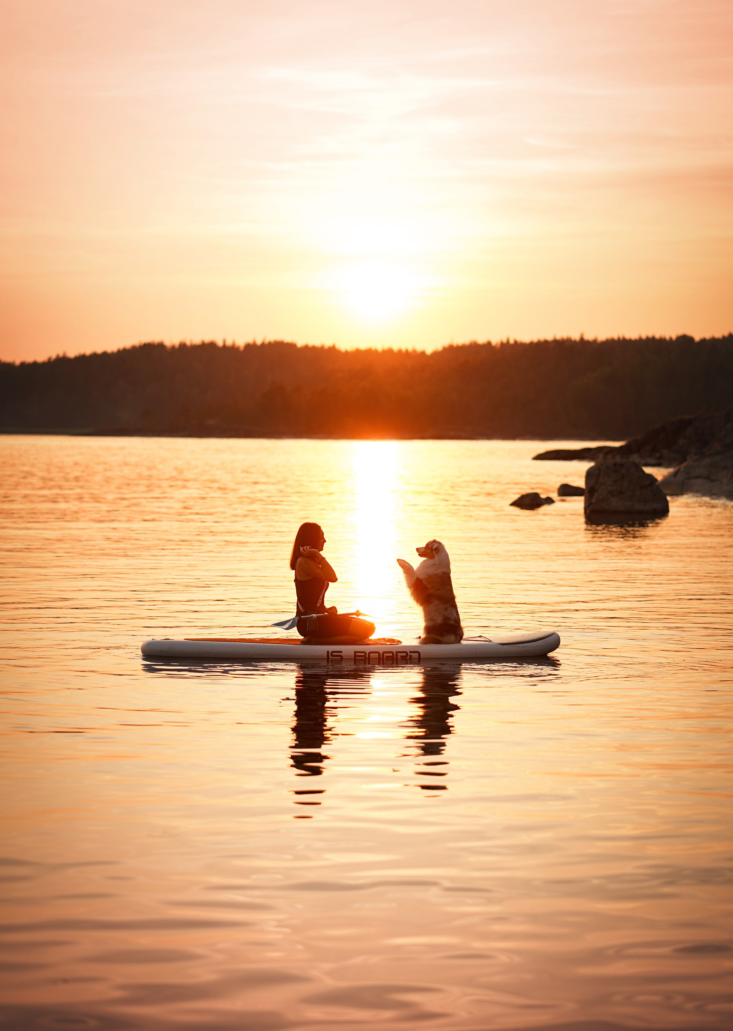 Панда SUP. Фотограф-анималист в Санкт-Петербурге Яна Мартынова