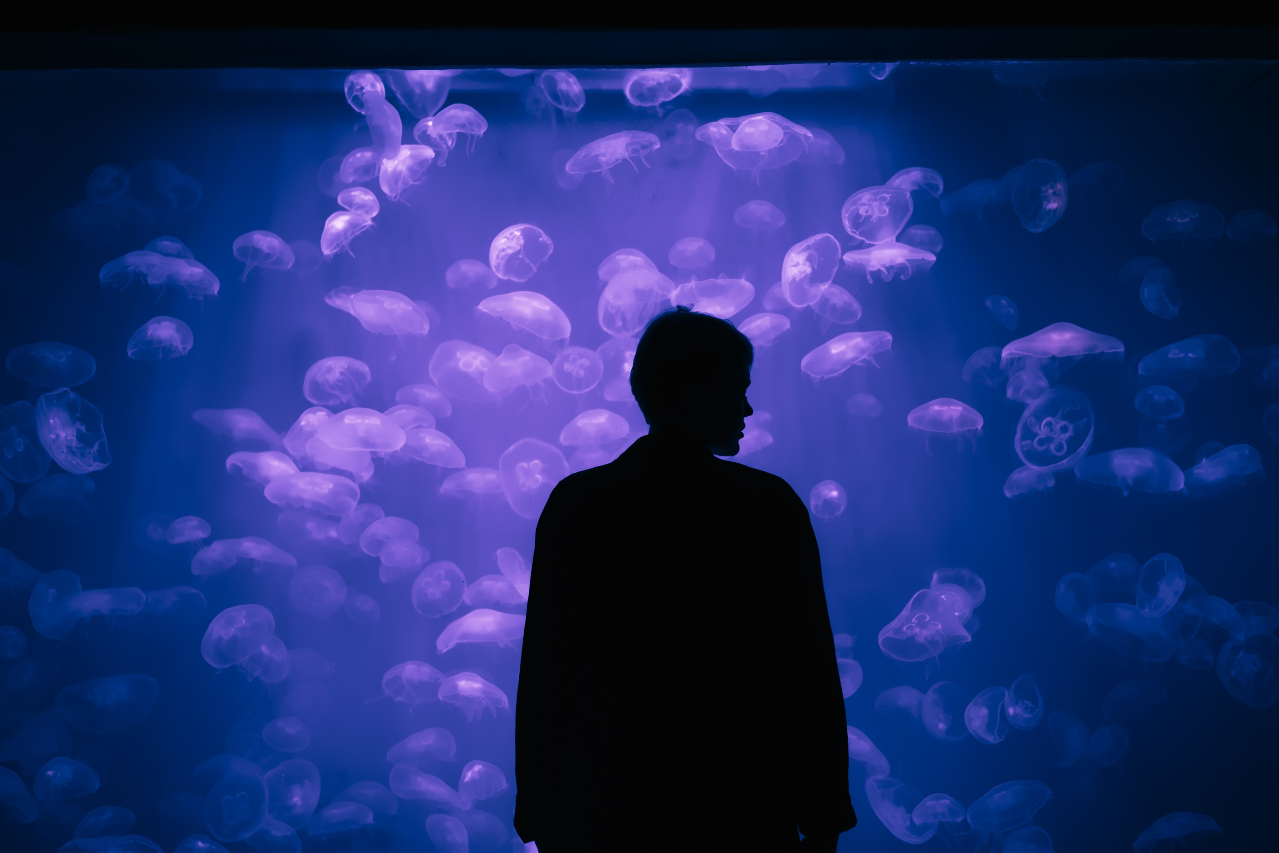 Портфолио. Фотограф и фотохудожник в Санкт-Петербурге Shadow Jane