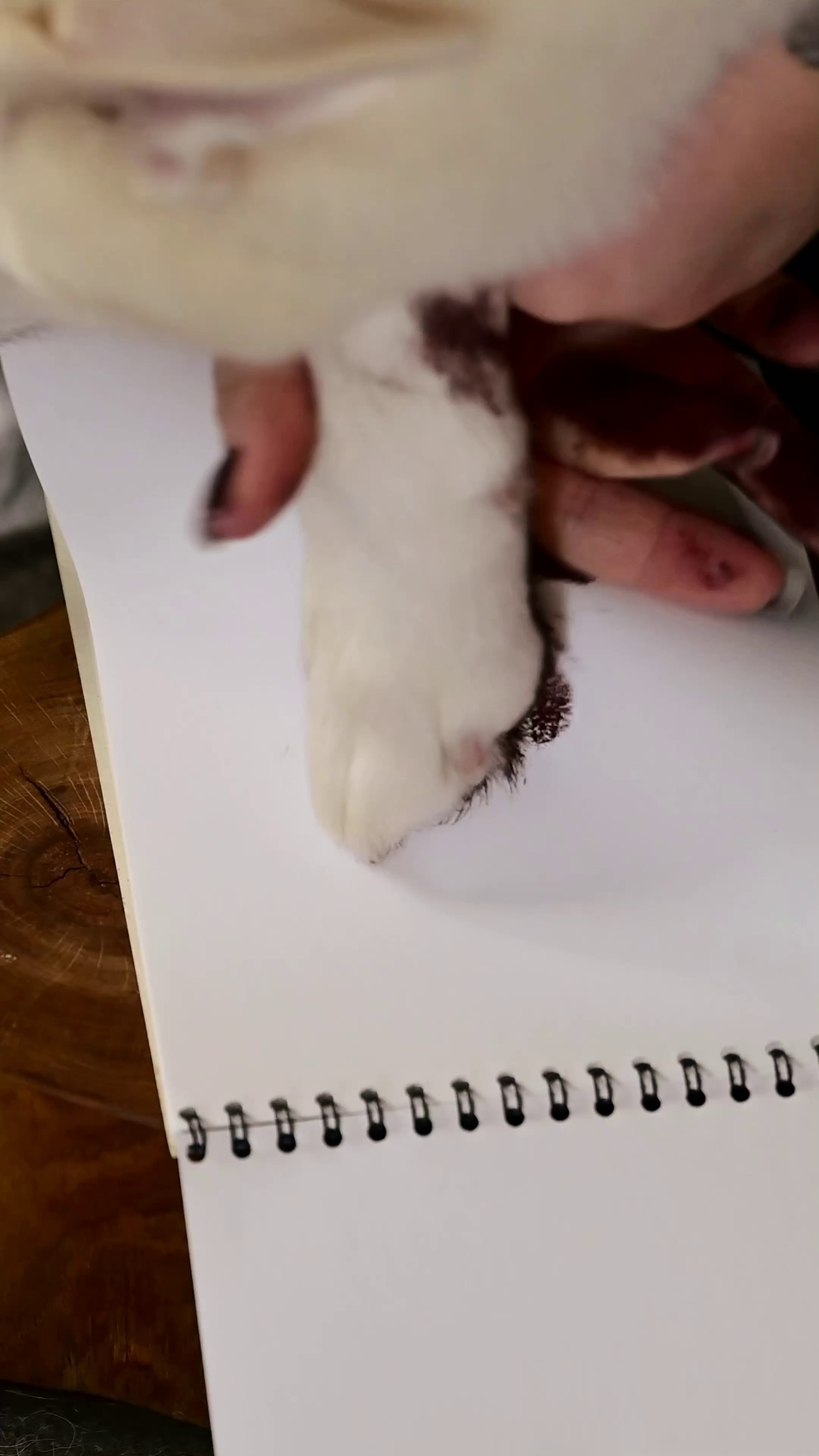 Видео рекламная/бренд. Мила Астахова