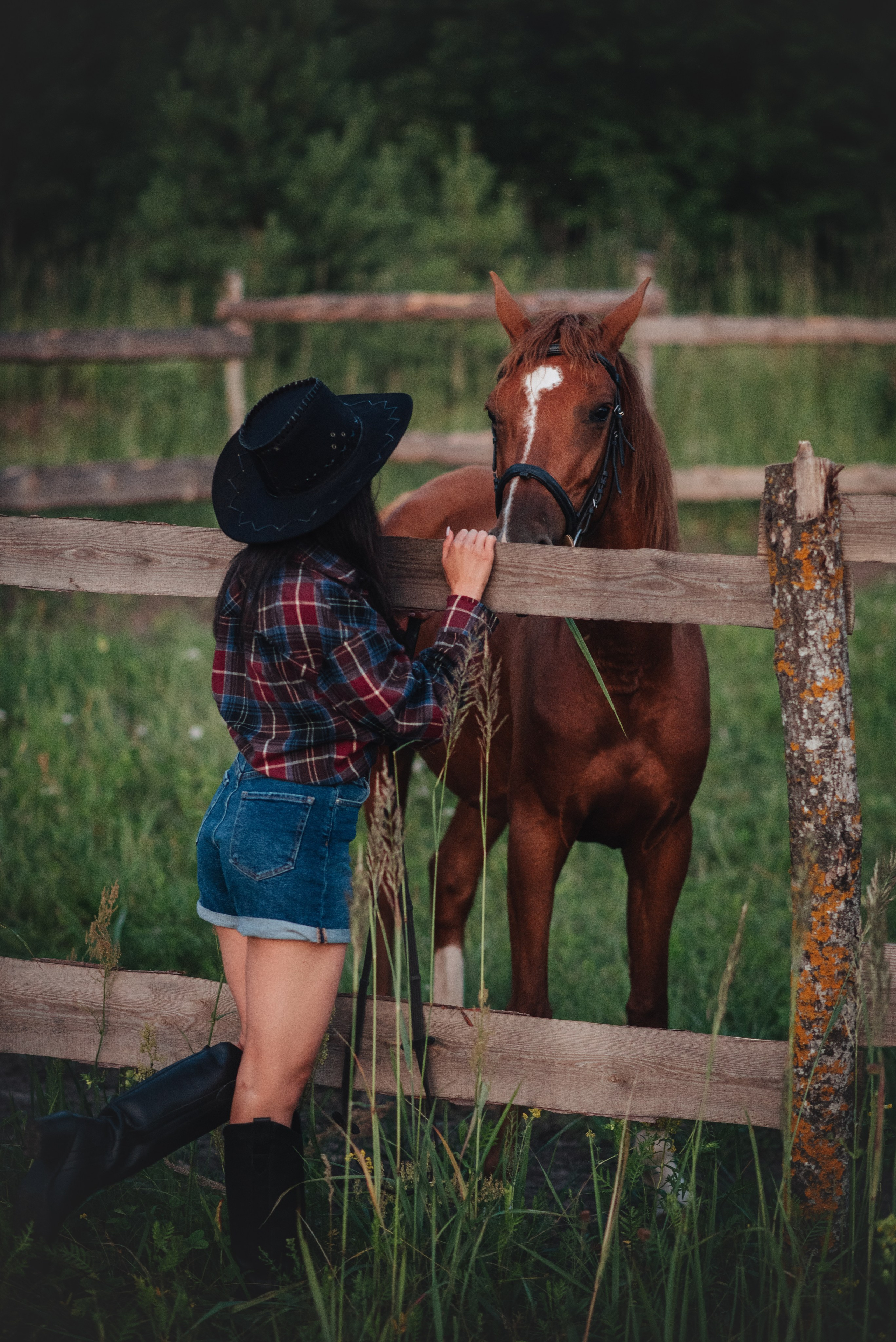 Ксюша и Майя — 05.07.2025. Фотограф — Анималист | Анна Абрамова