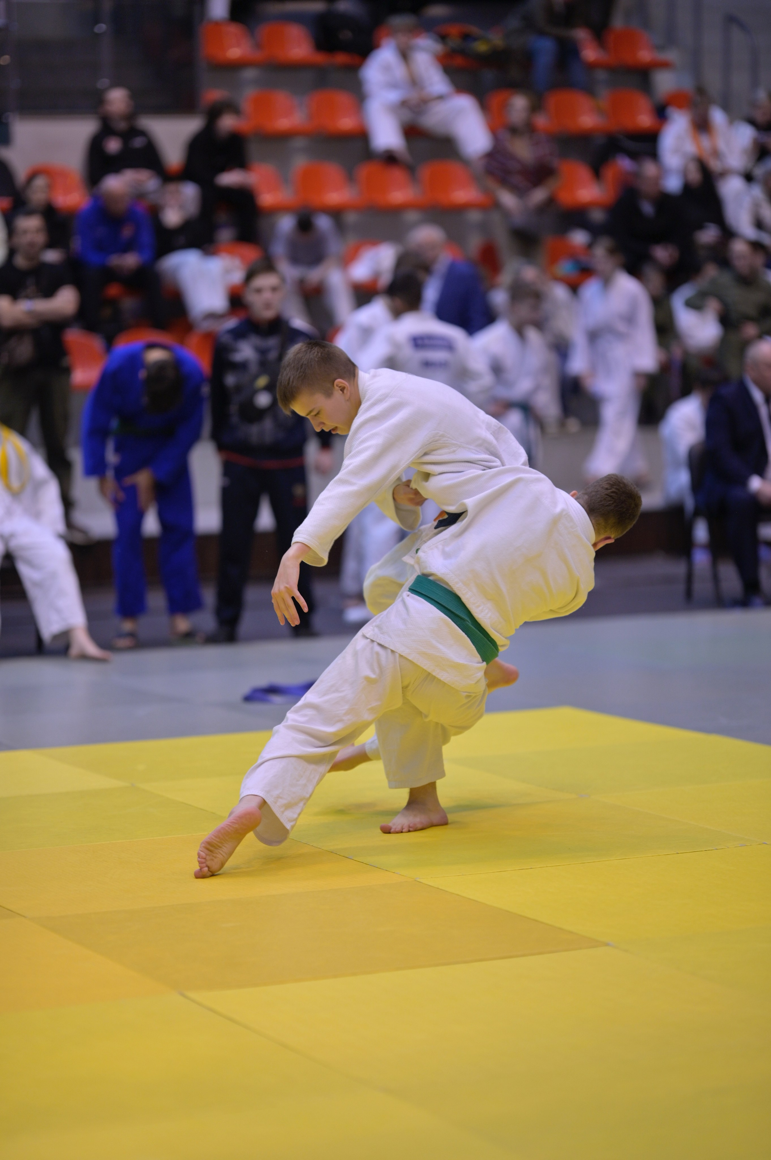 Турнир по дзюдо памяти Андрея Завьялкина. Фотограф Ваших событий 📸