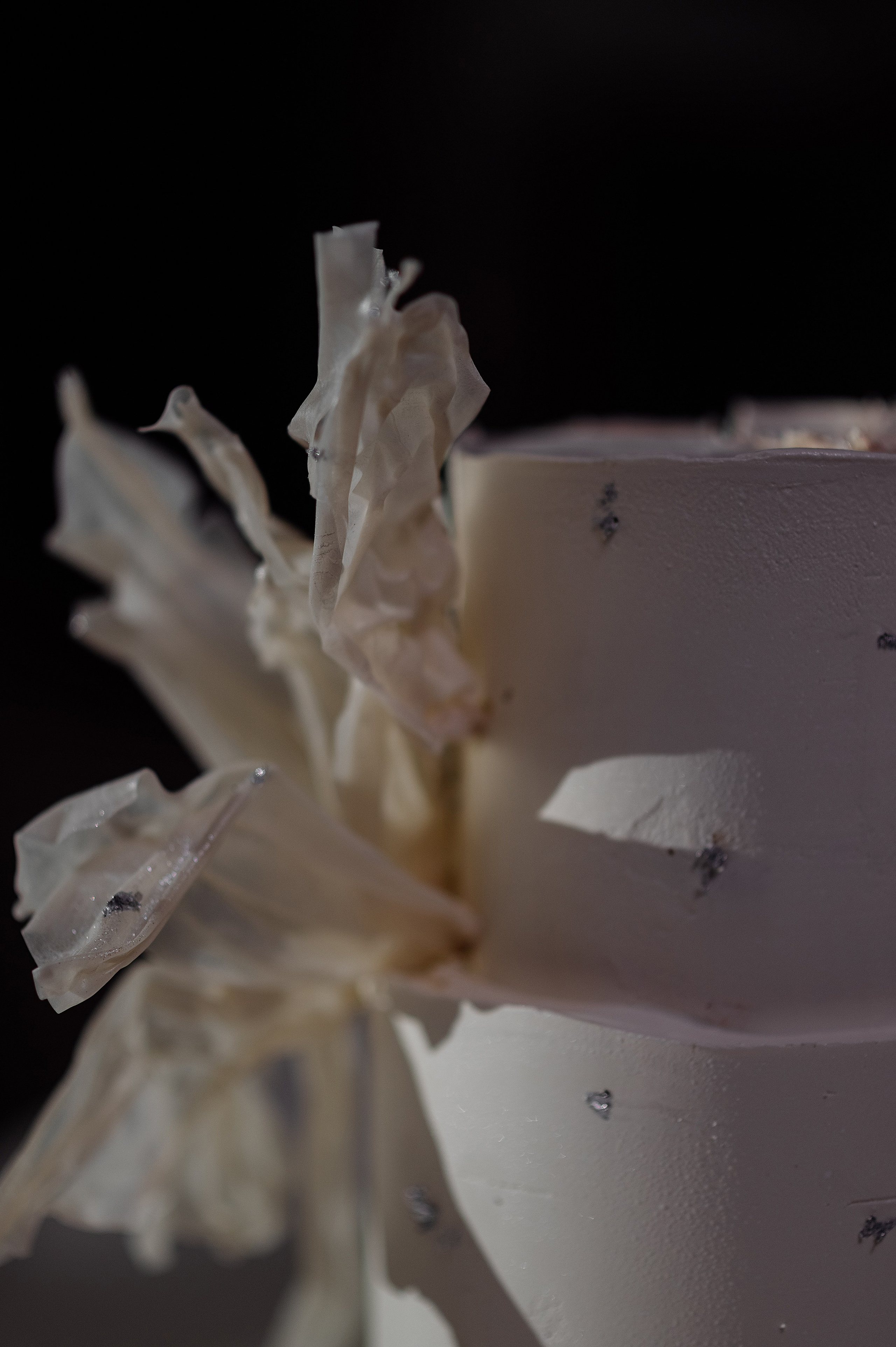 Стас и Алина. Свадебный и семейный фотограф в Ростове-на-Дону Алина Астахова