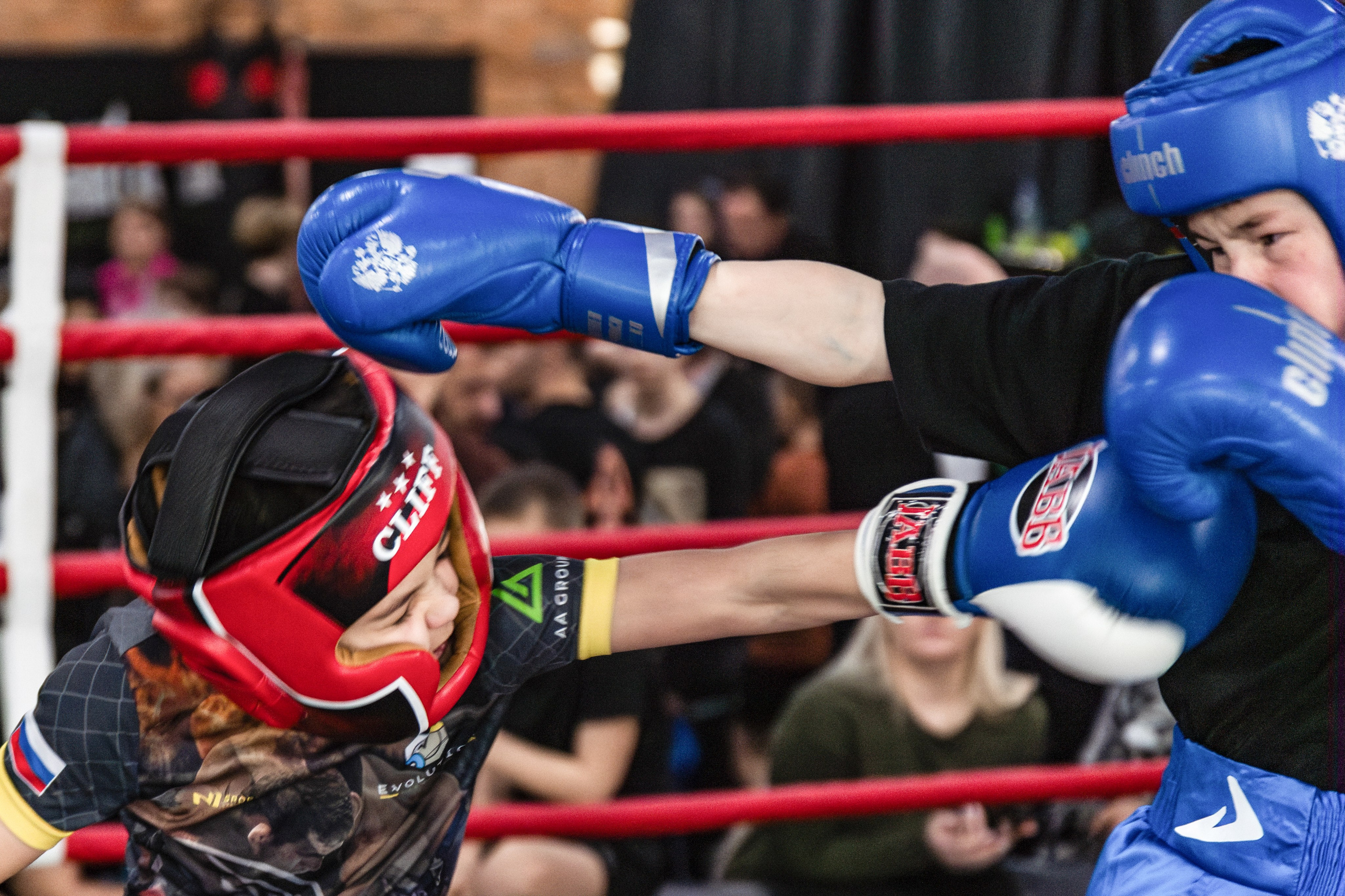 OCTAGON FIGHT IV | СК «Ратиборец». Репортажный фотограф Екатеринбург | Яркий, качественный репортаж | Концерты, клубы, репортаж, праздники, корпоративы