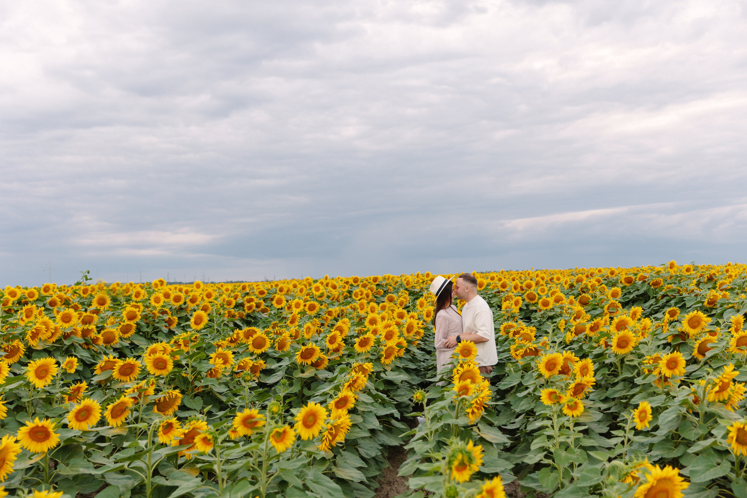 Подсолнухи. Dima Lemeshevsky
