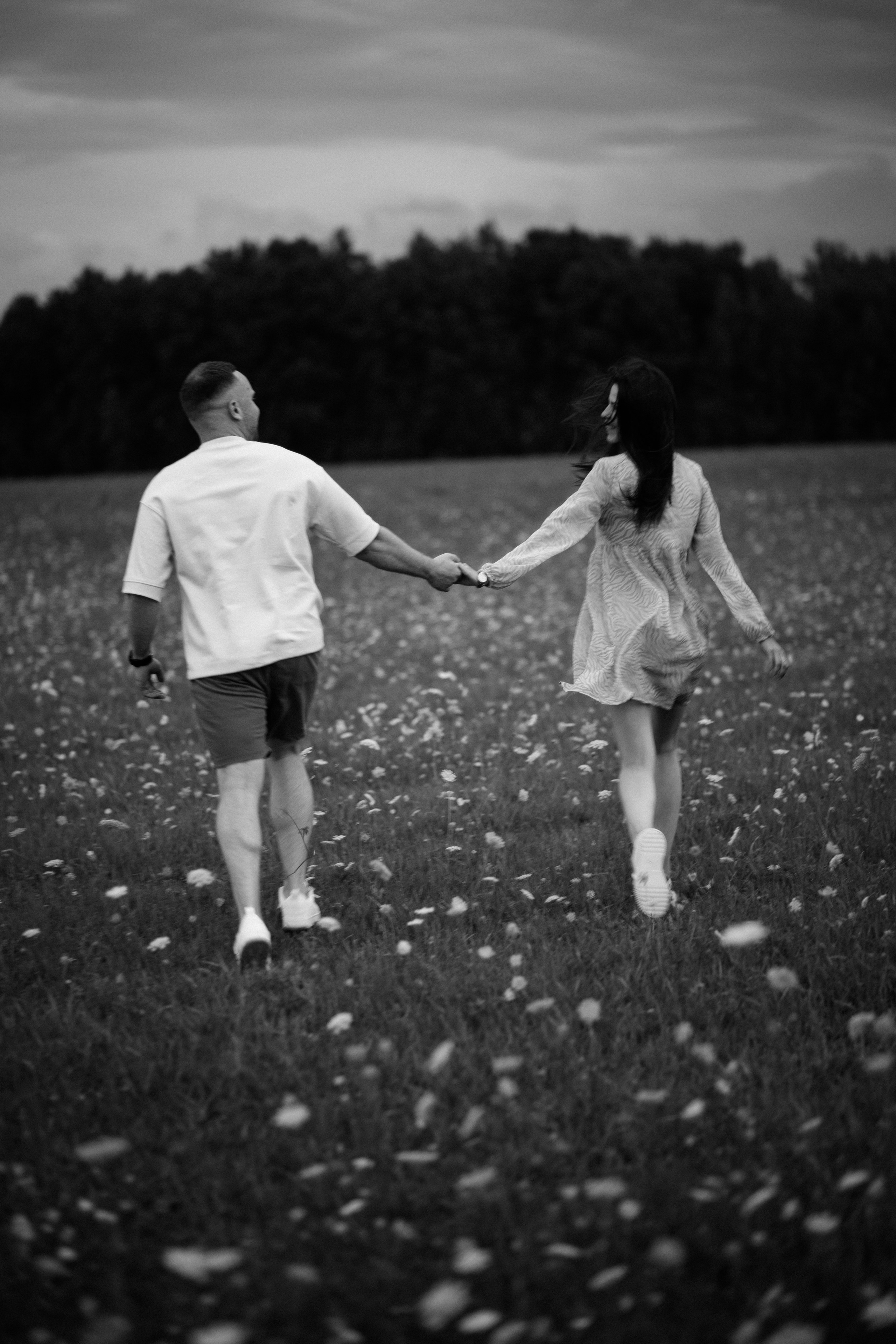 Подсолнухи. Dima Lemeshevsky