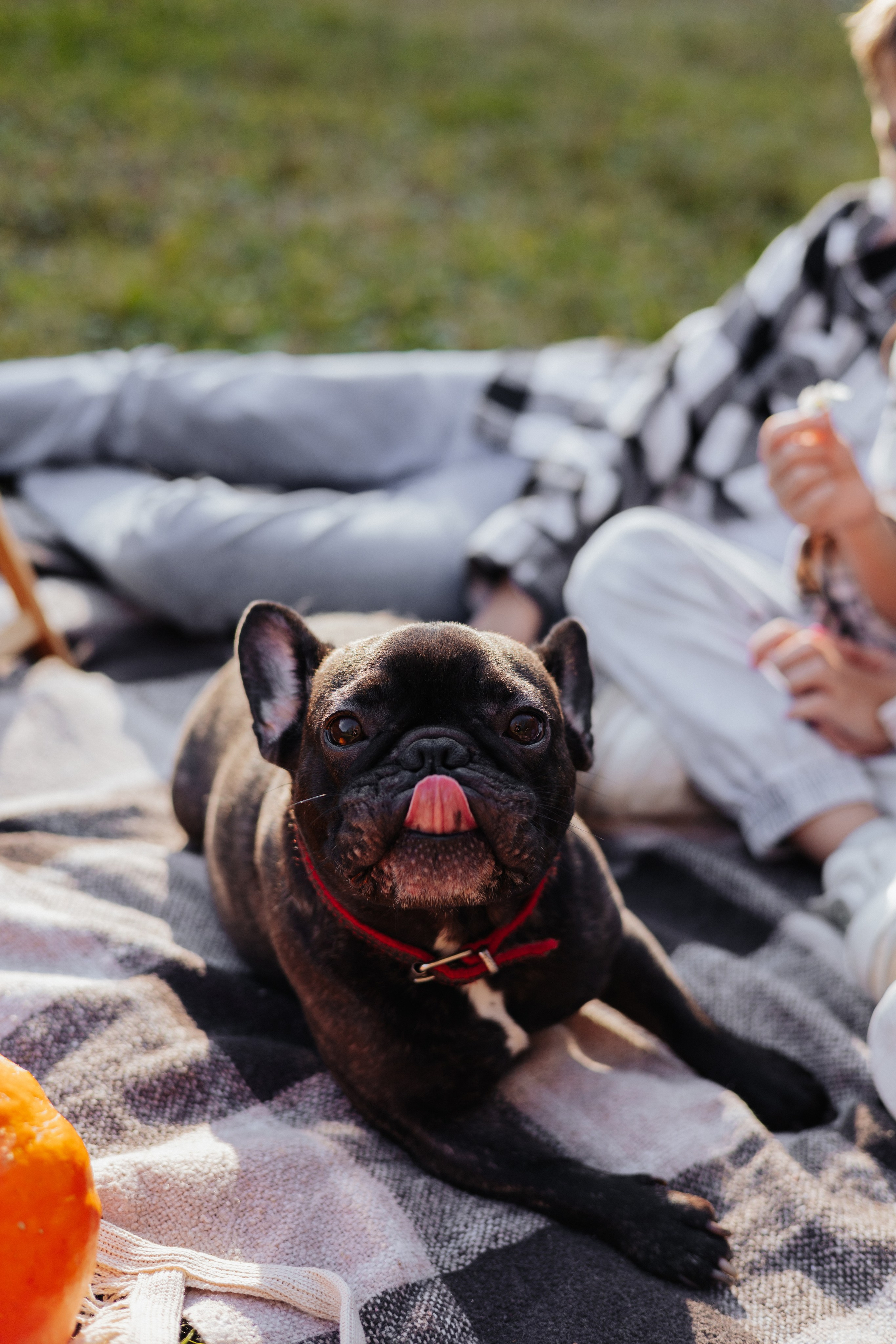 Детский семейный фотограф. Детский и семейный фотограф  Биробиджан Оля Светагор