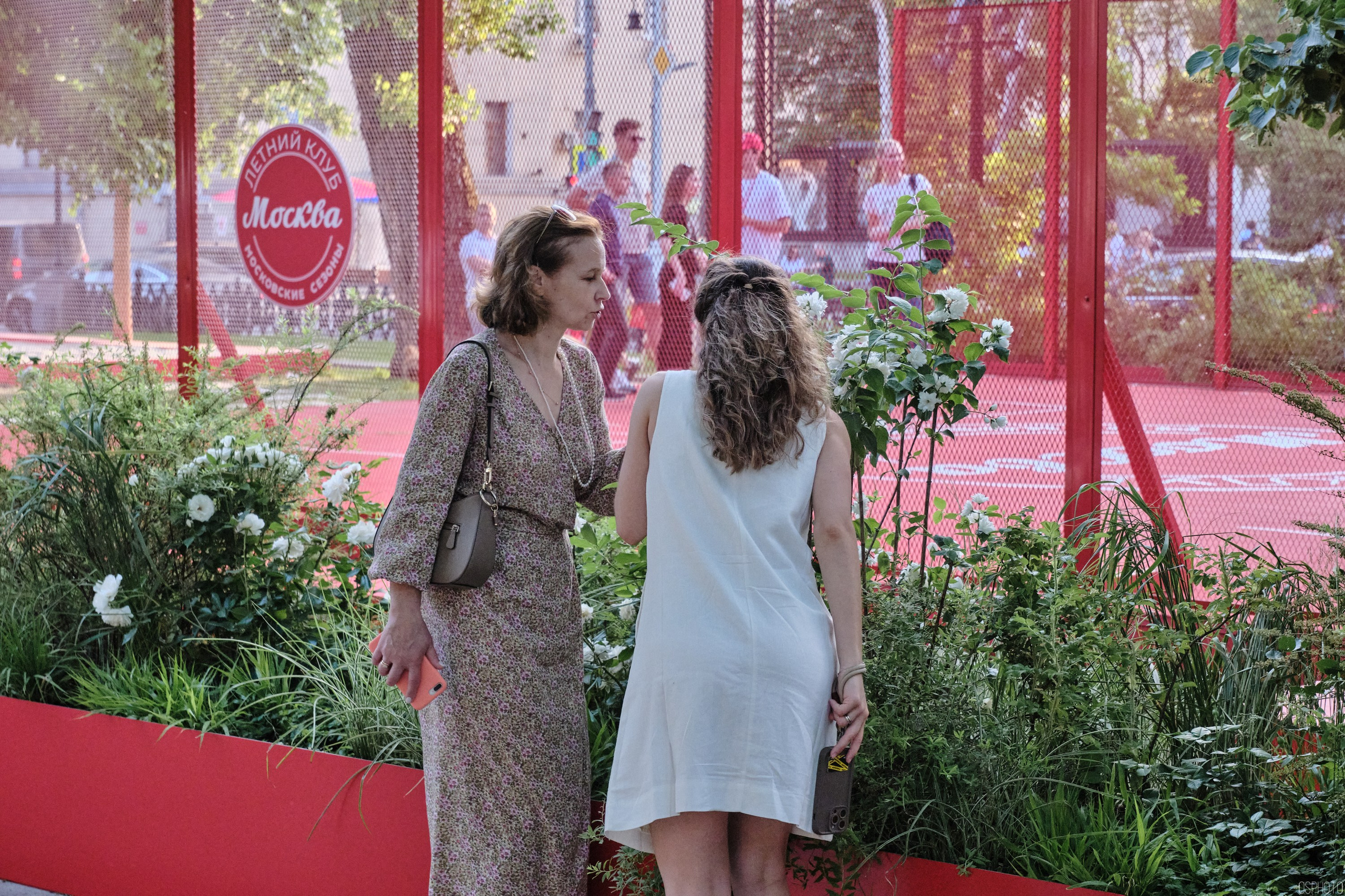 Бульвары для всех l Лето в Москве. Фотографъ Сергѣевъ. Поймать мгновеніе