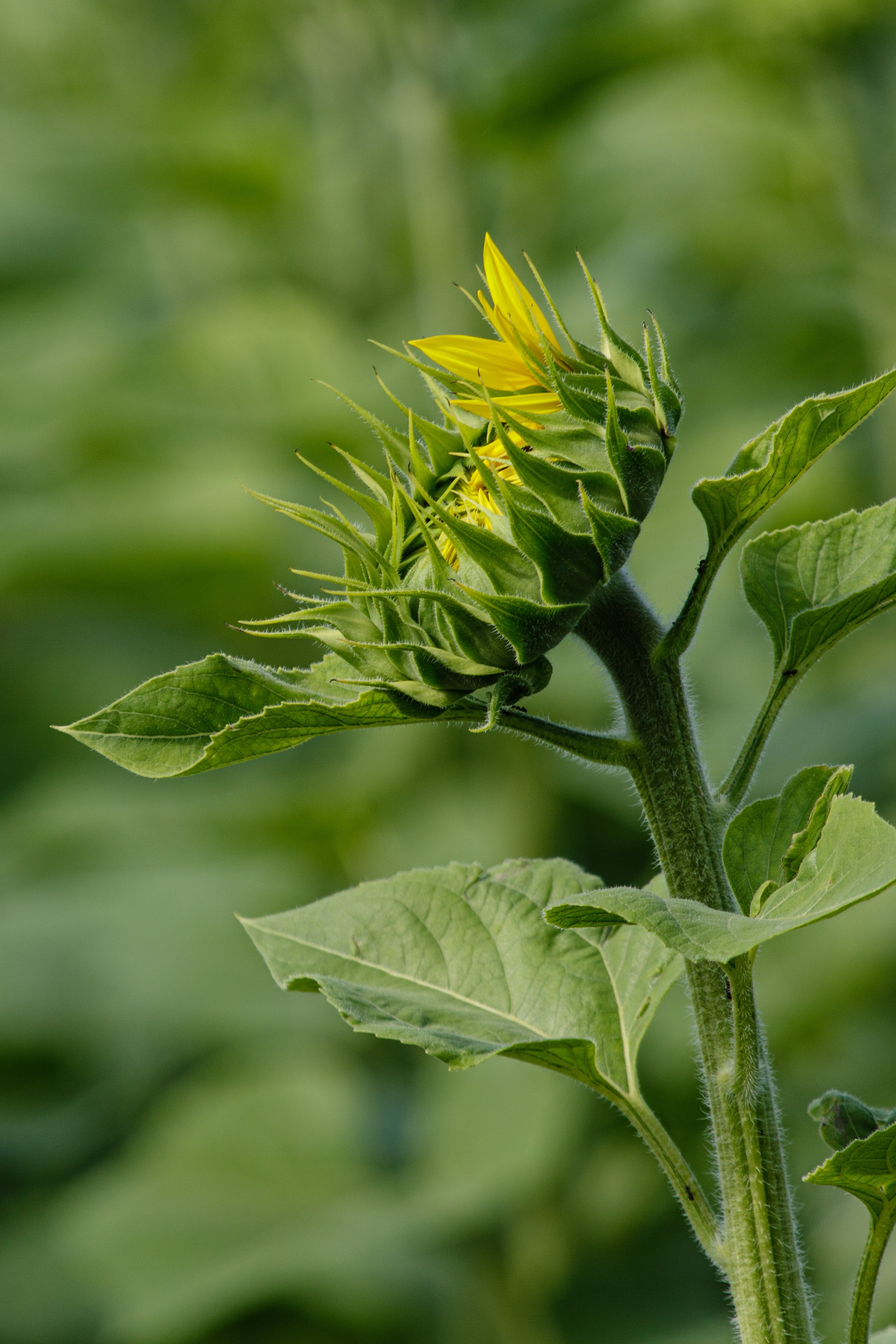 Казахстан. Фотограф Кирилл Мешков Кемерово