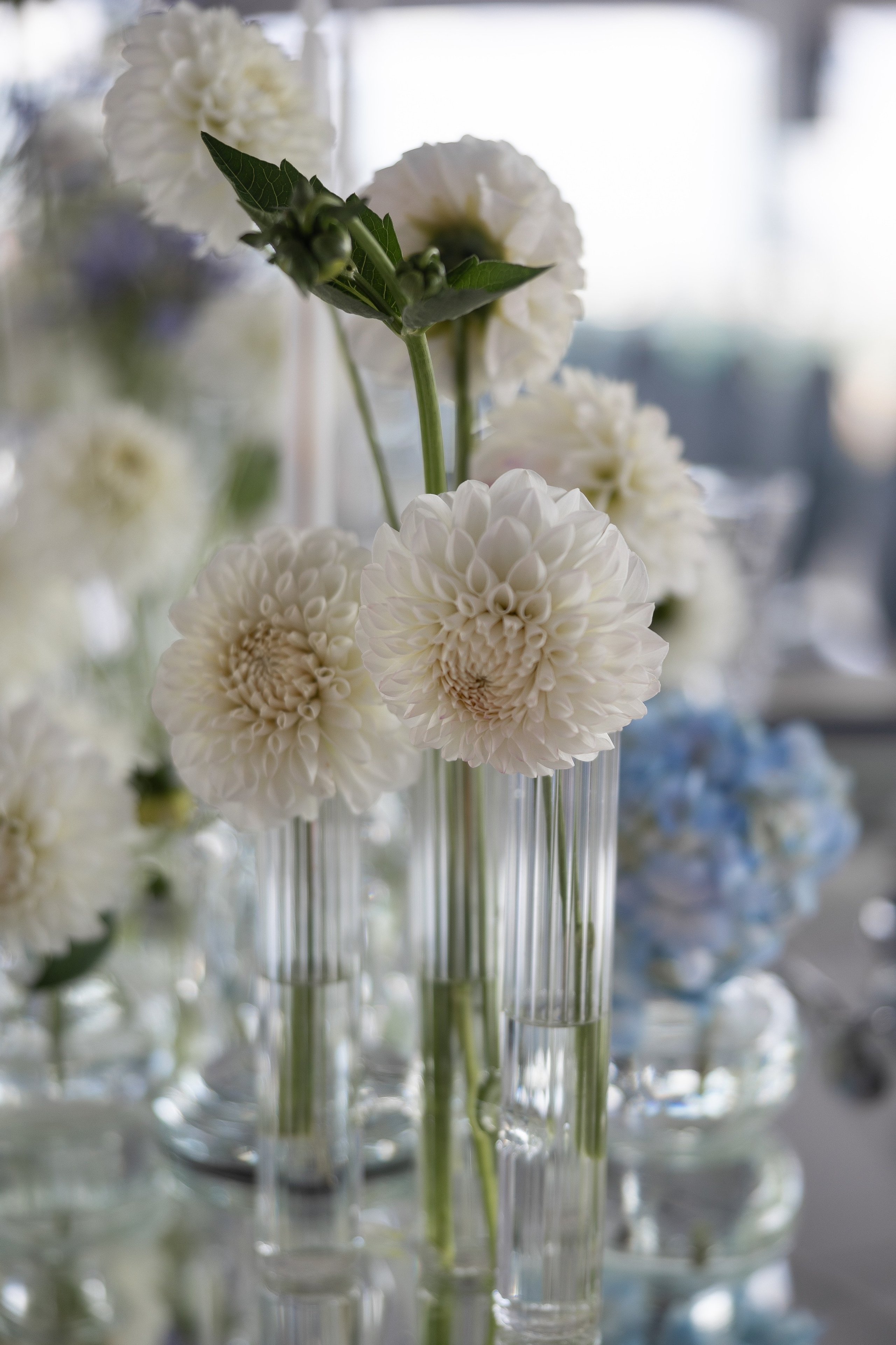 Репортаж для Kate&Leo. Свадебный и семейный фотограф Москва Екатерина Верижникова