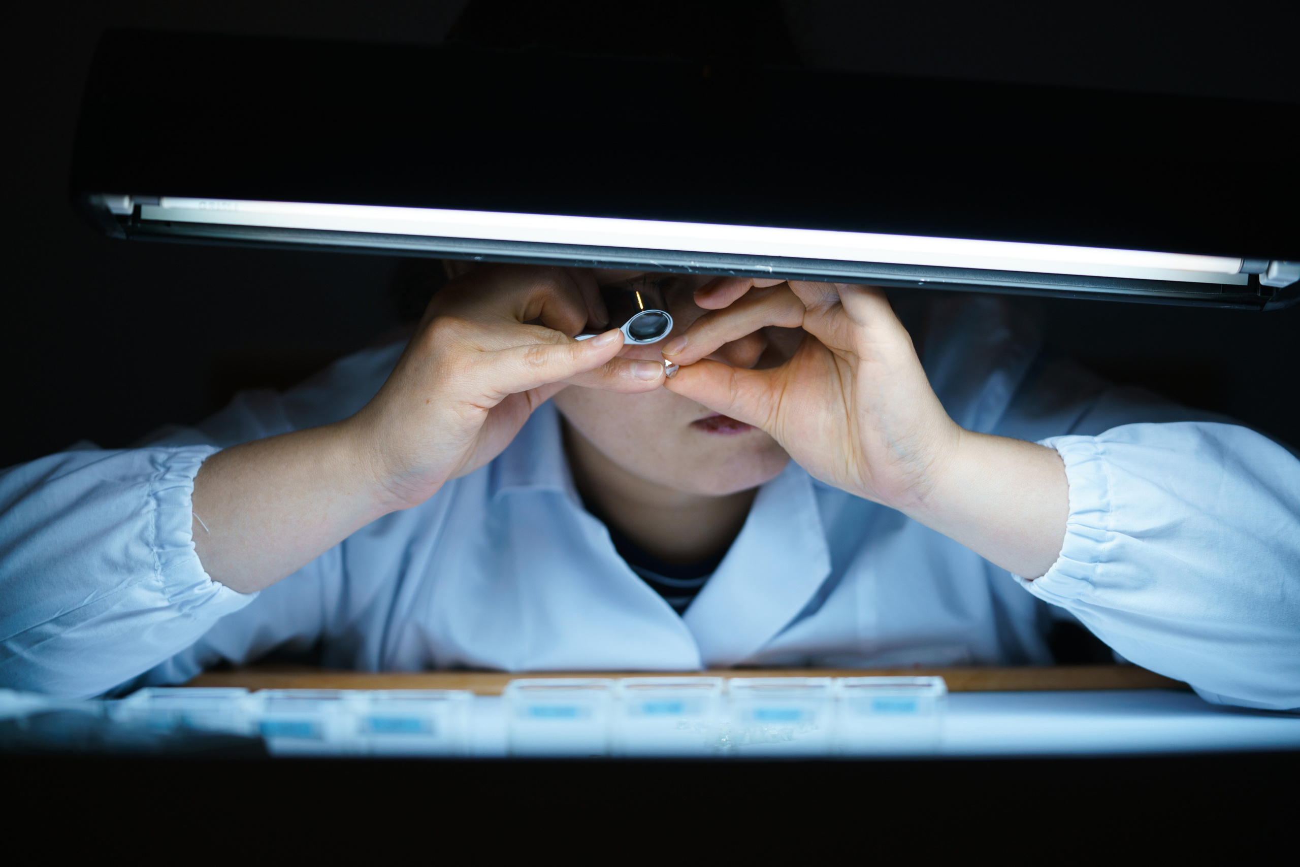 Курс. Асхат Бардынов