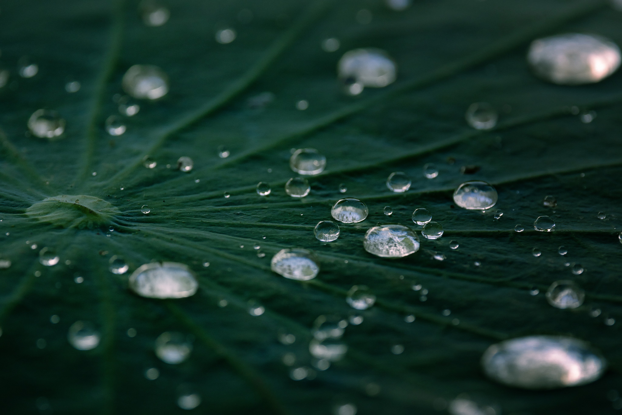 Астраханская область 2025 | Фотограф Дмитрий Купрацевич. Дмитрий Купрацевич профессиональный пейзажный и travel-фотограф