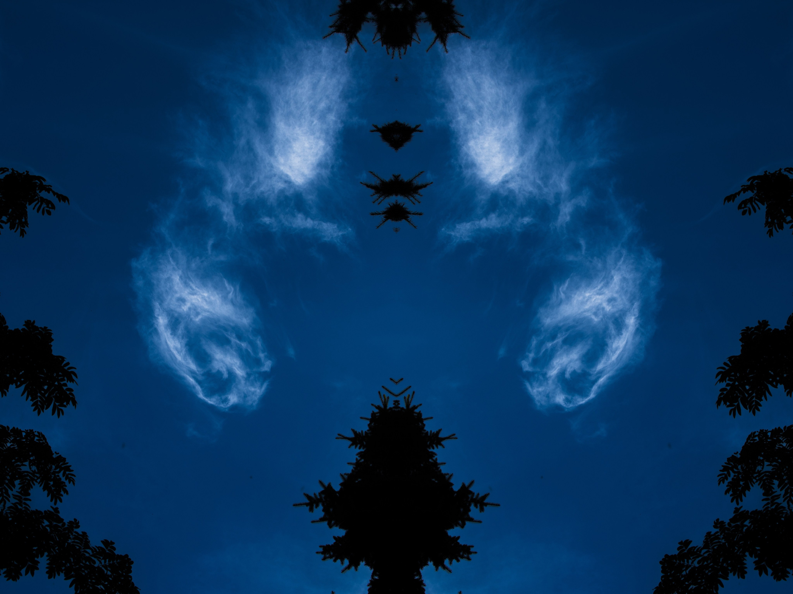 Urban flowers. Арт — фотограф Евгений Наймушин Новокузнецк