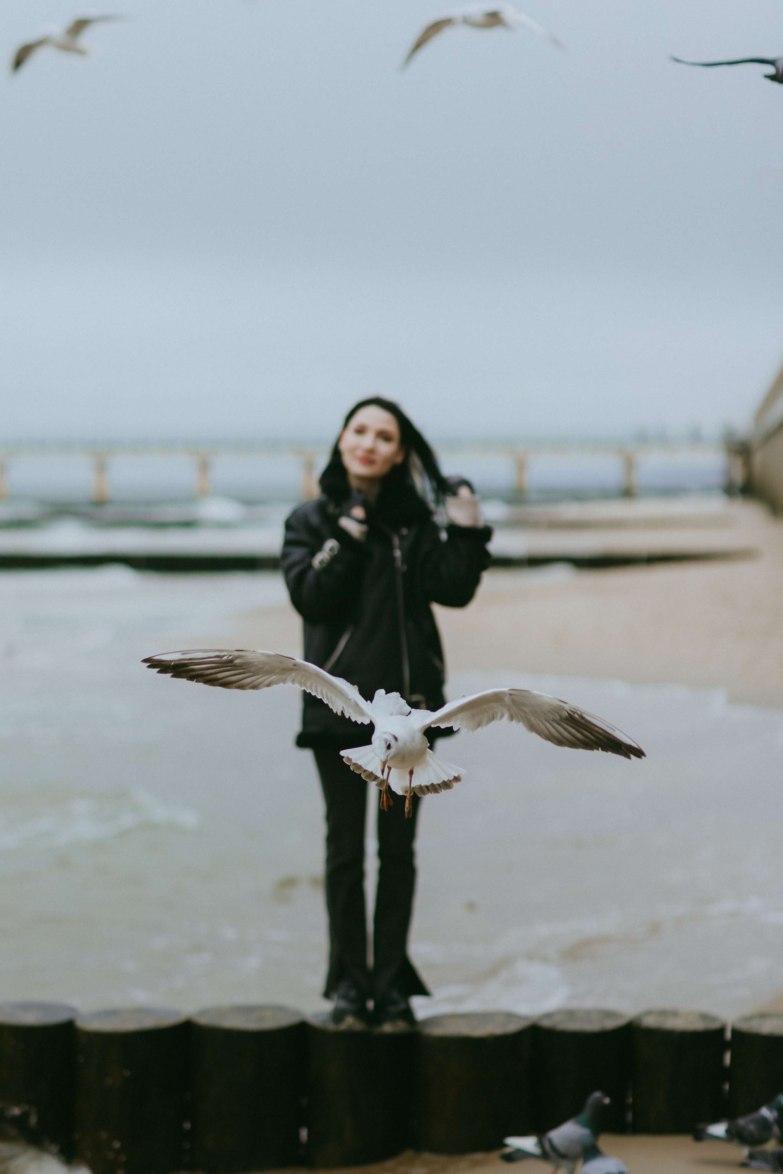 Хмурый февраль для Валентины. Фотограф Зеленоградск Красильникова Елена