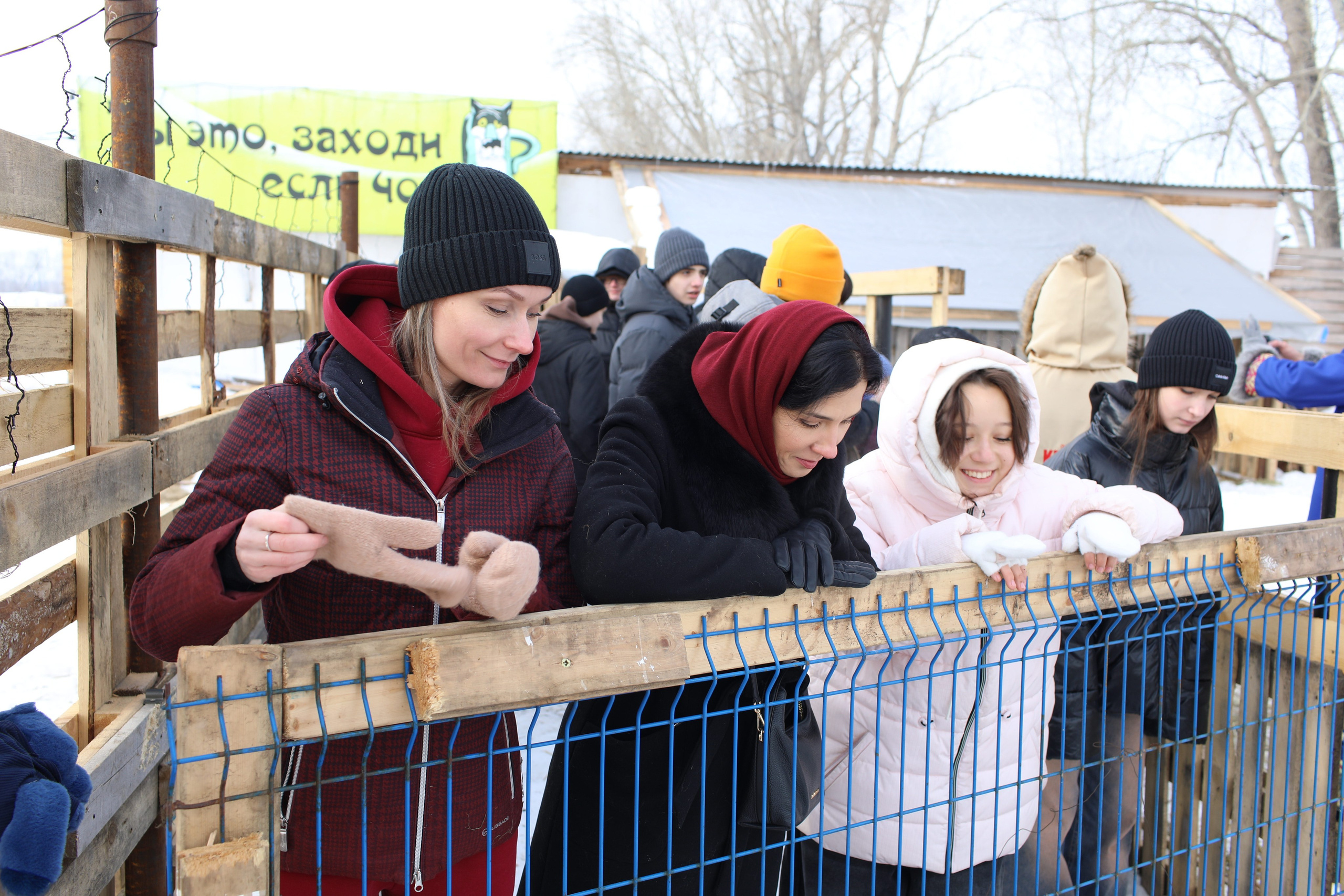 Наши партнеры. Иволга74