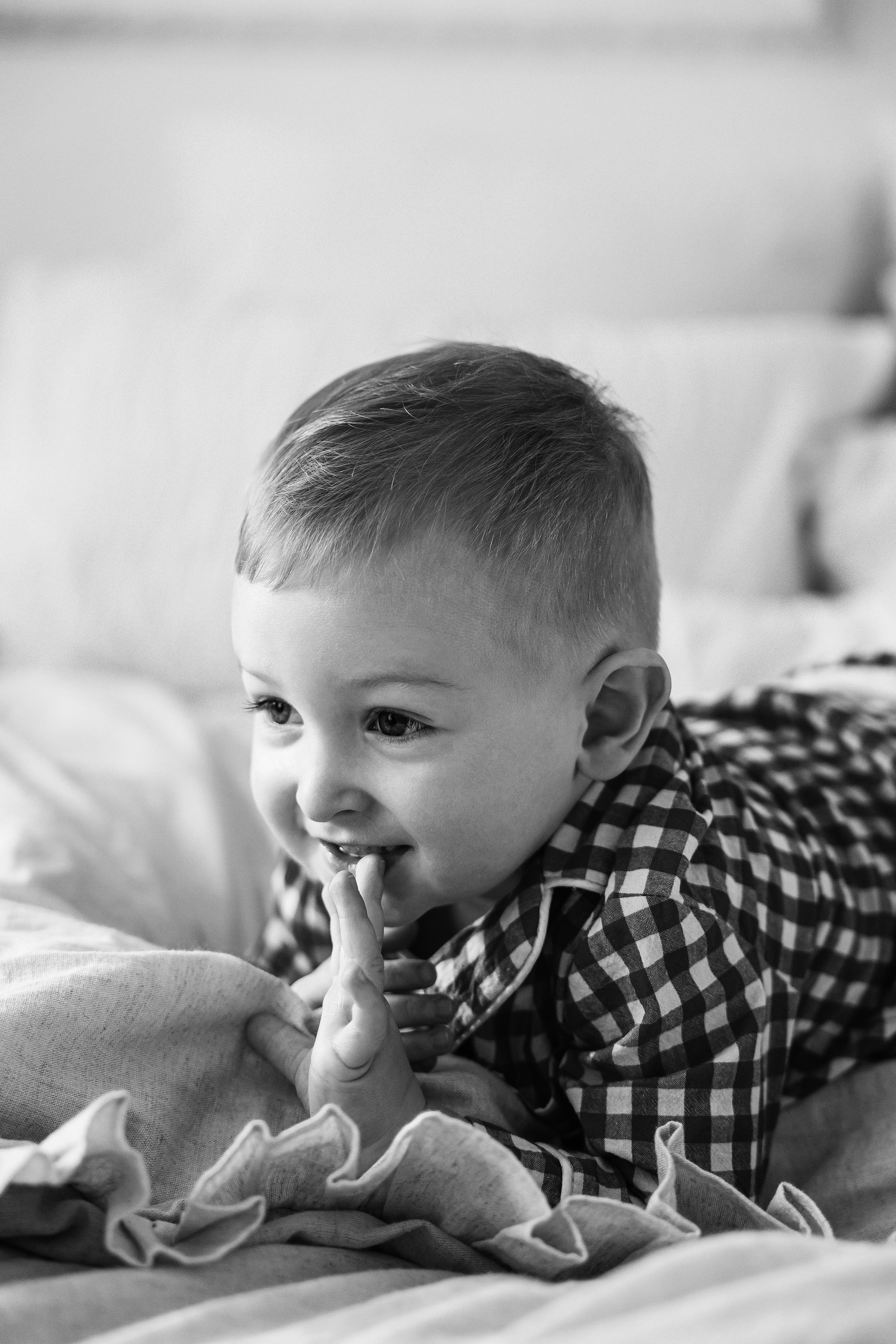 Маленький Лев. Главная