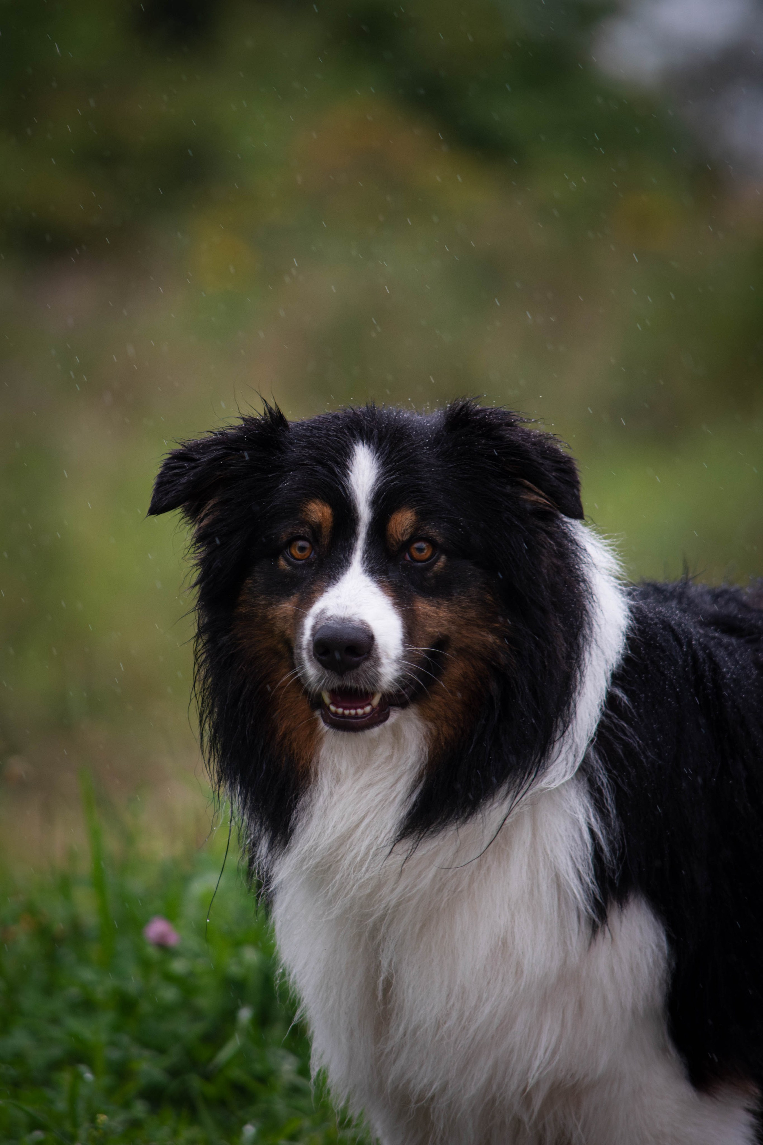Прогулка в парке Митино. Фотограф Светлана Блинова, Москва и Московская область