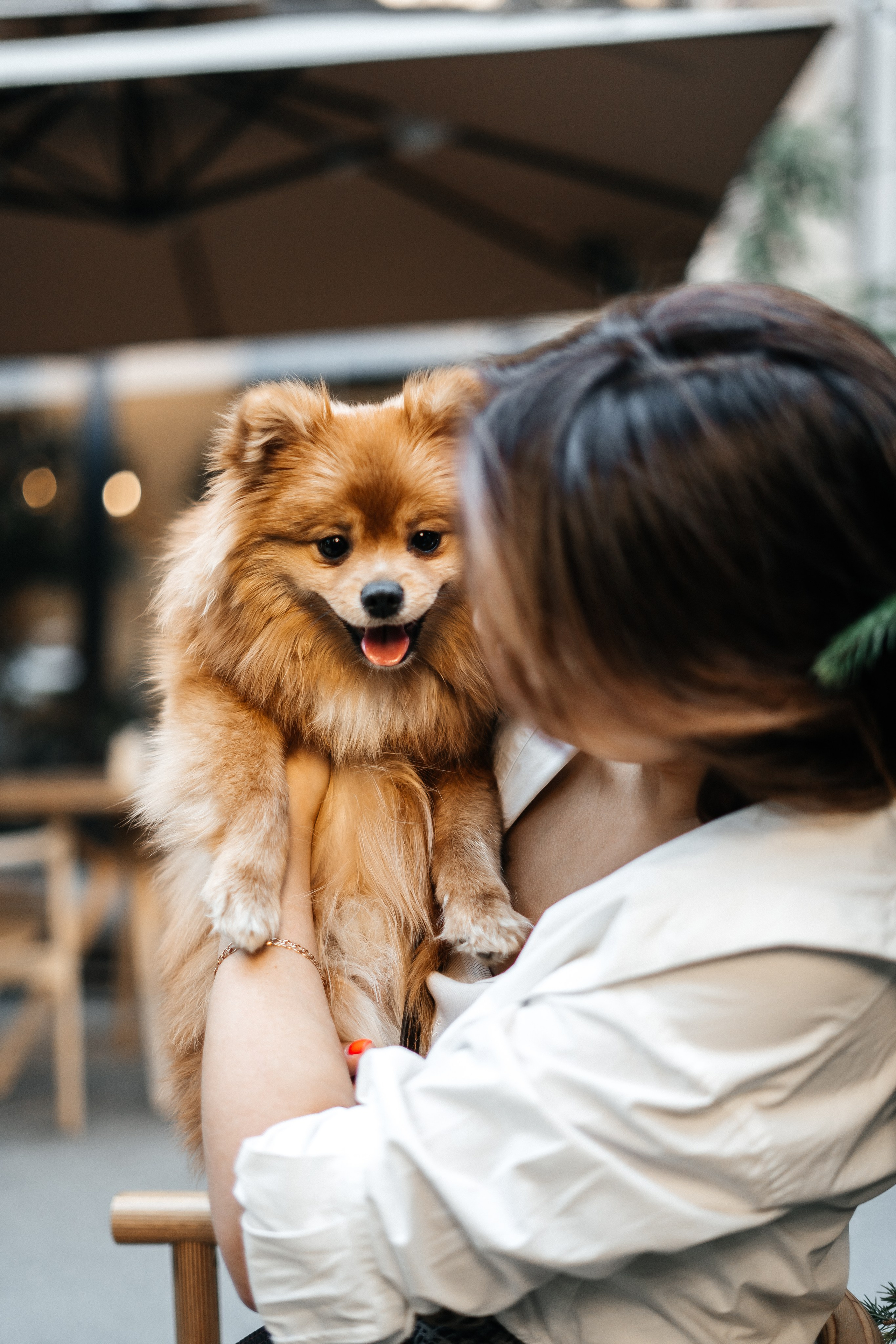 Yana and Percy. Фотограф Волгоград