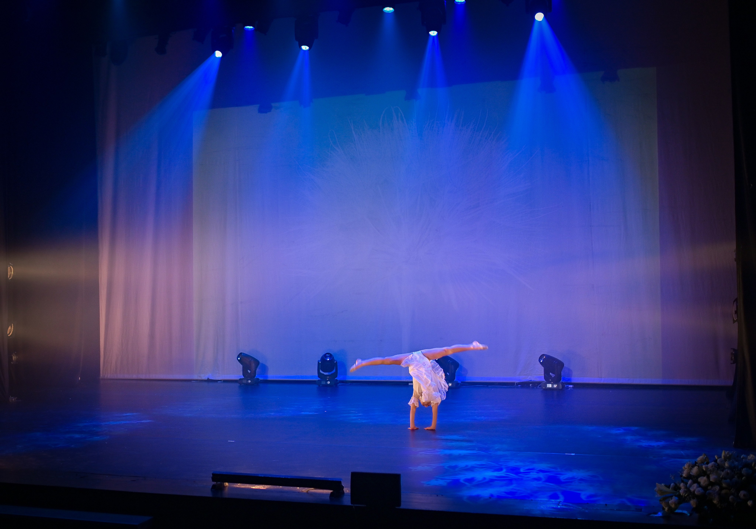 СПОРТ ТАНЦЫ. Женский, семейный и детский фотограф