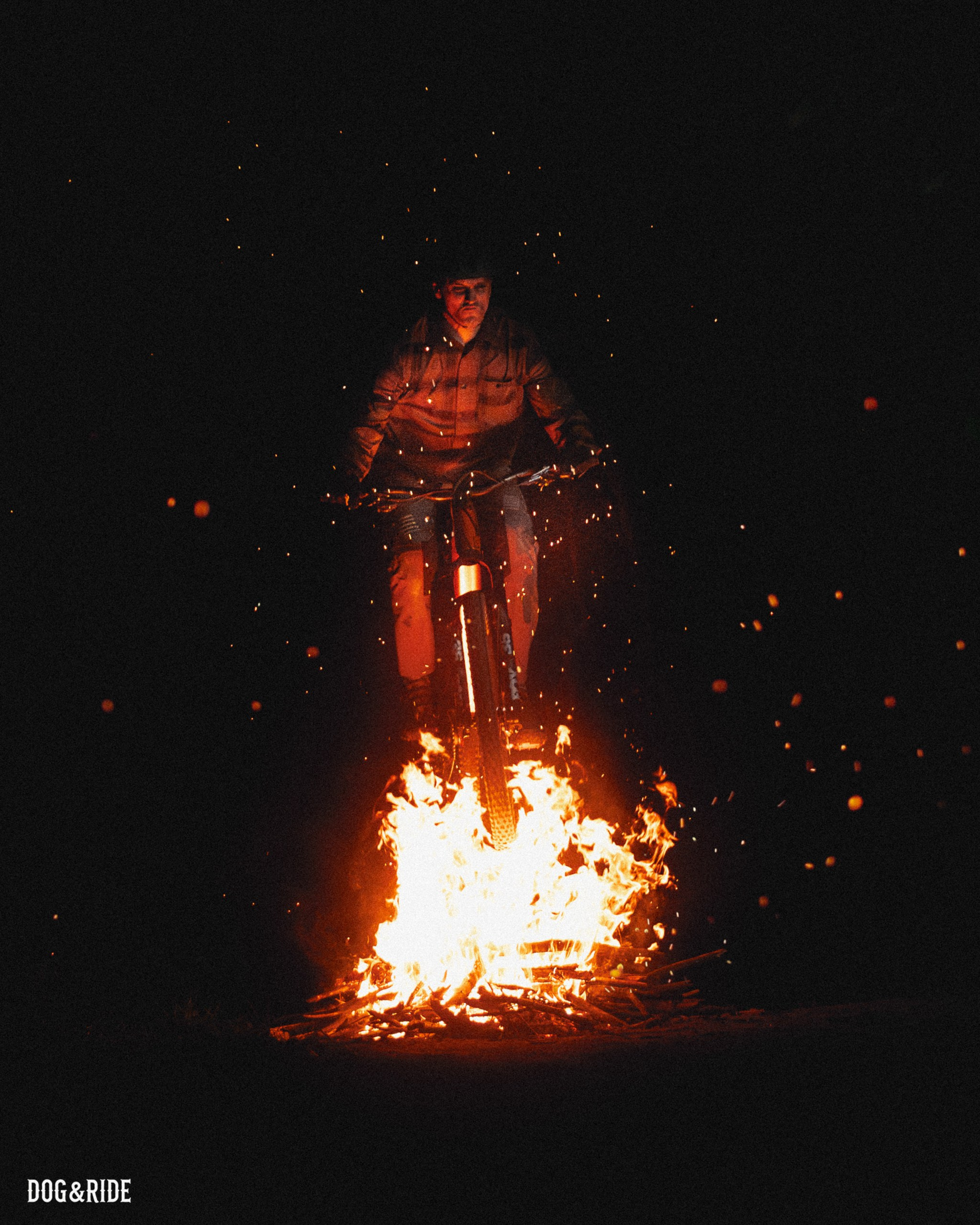Шабаш. Фотограф анималист Никита Натальный