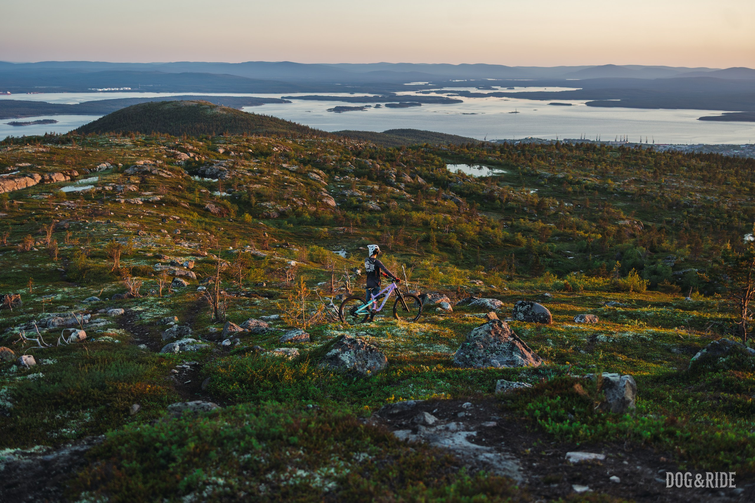 Кандалакшка. Фотограф анималист Никита Натальный