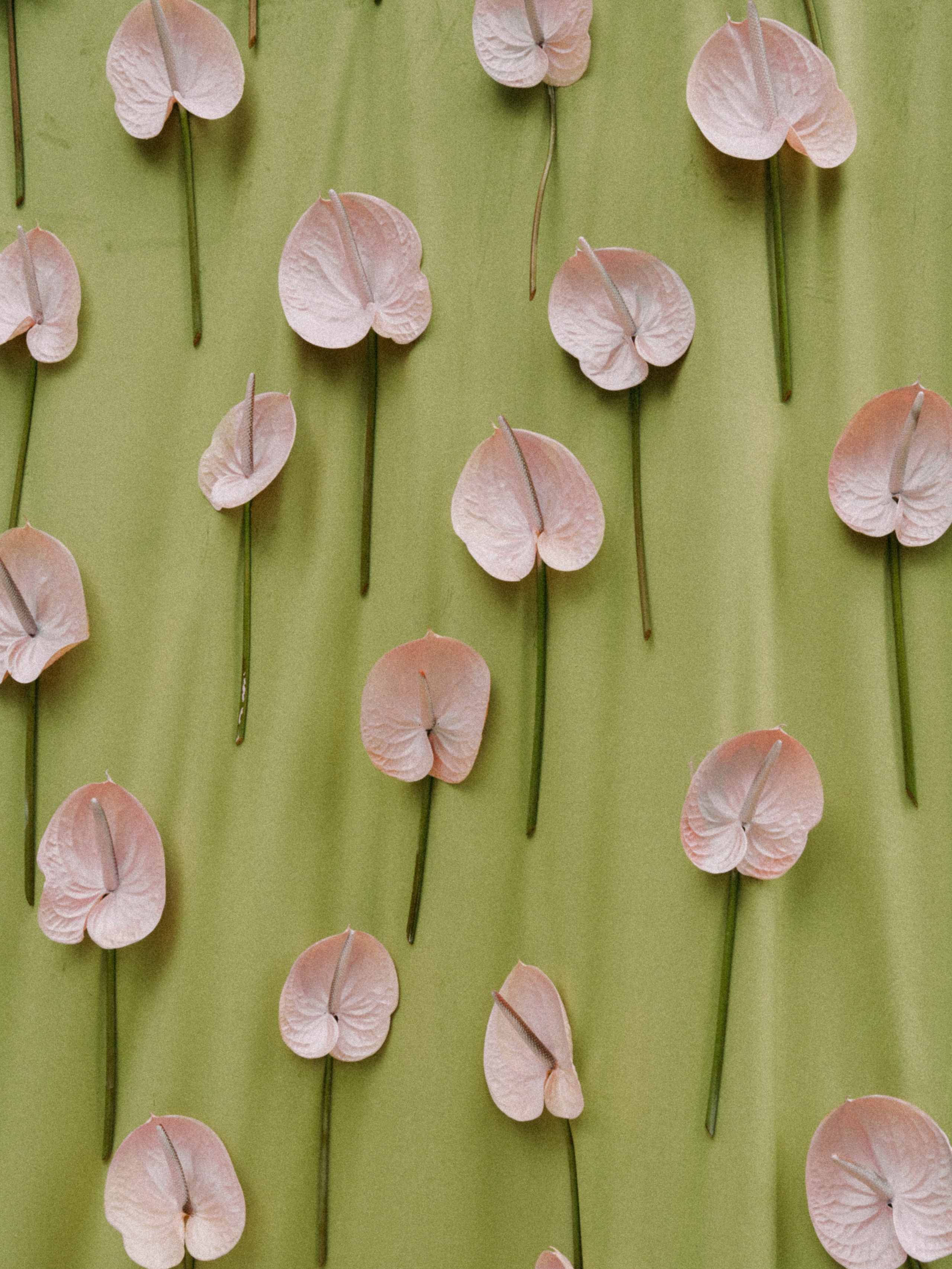 Никита и Полина. Свадебный фотограф Артем Смирнов