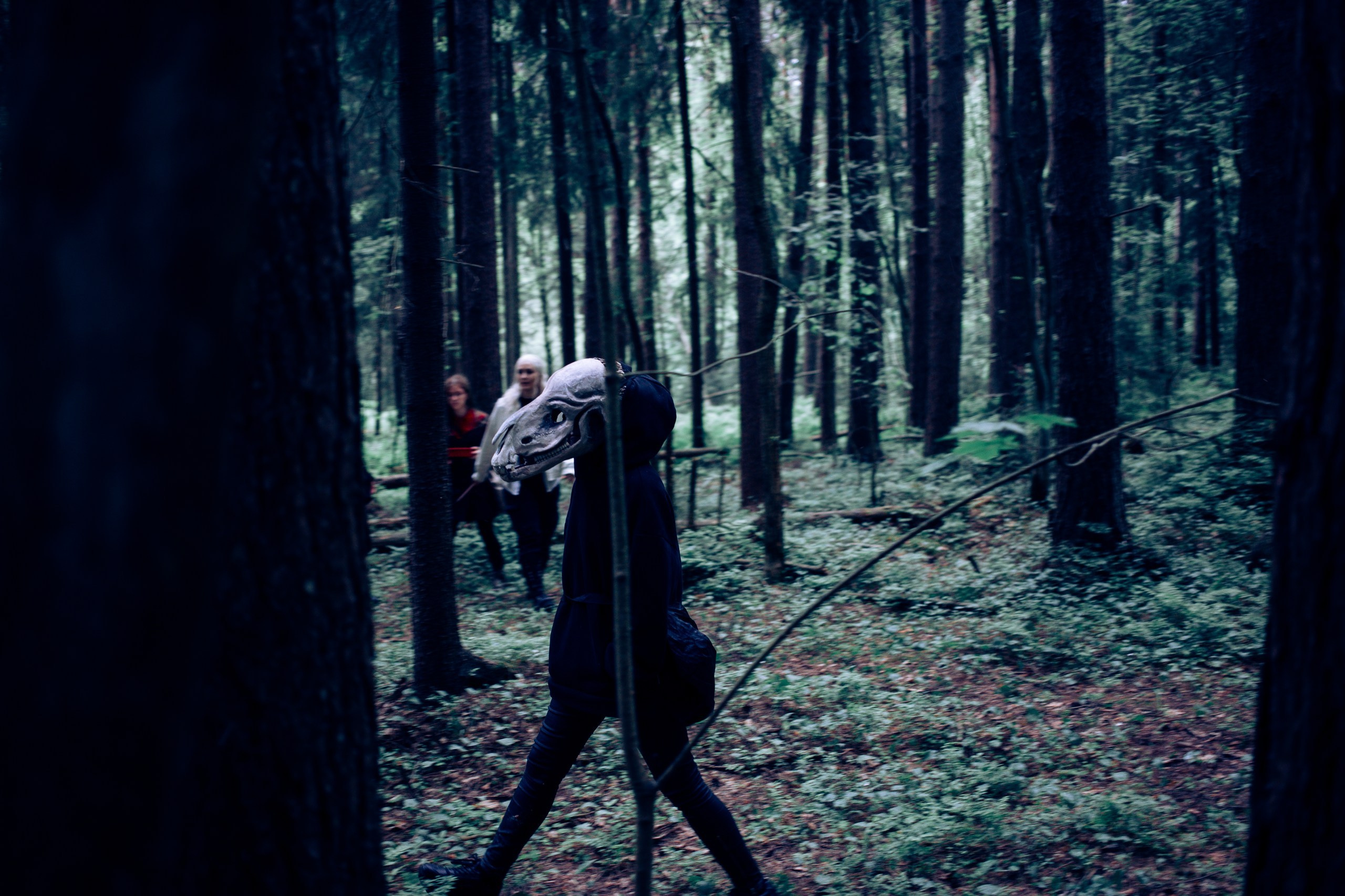 Запретный лес. Репортажный фотограф Анастасия Головко