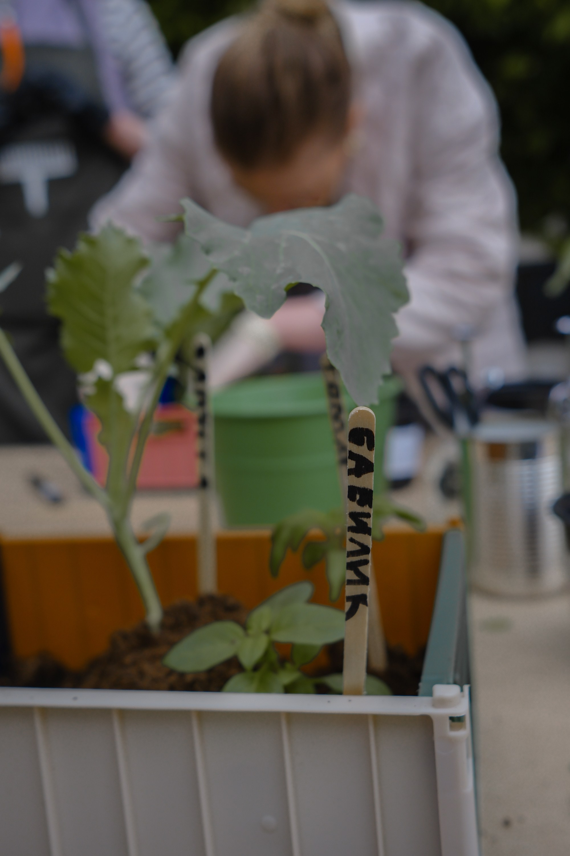 VeterFest 2023. Фотограф в Москве (готова приехать к вам в город)