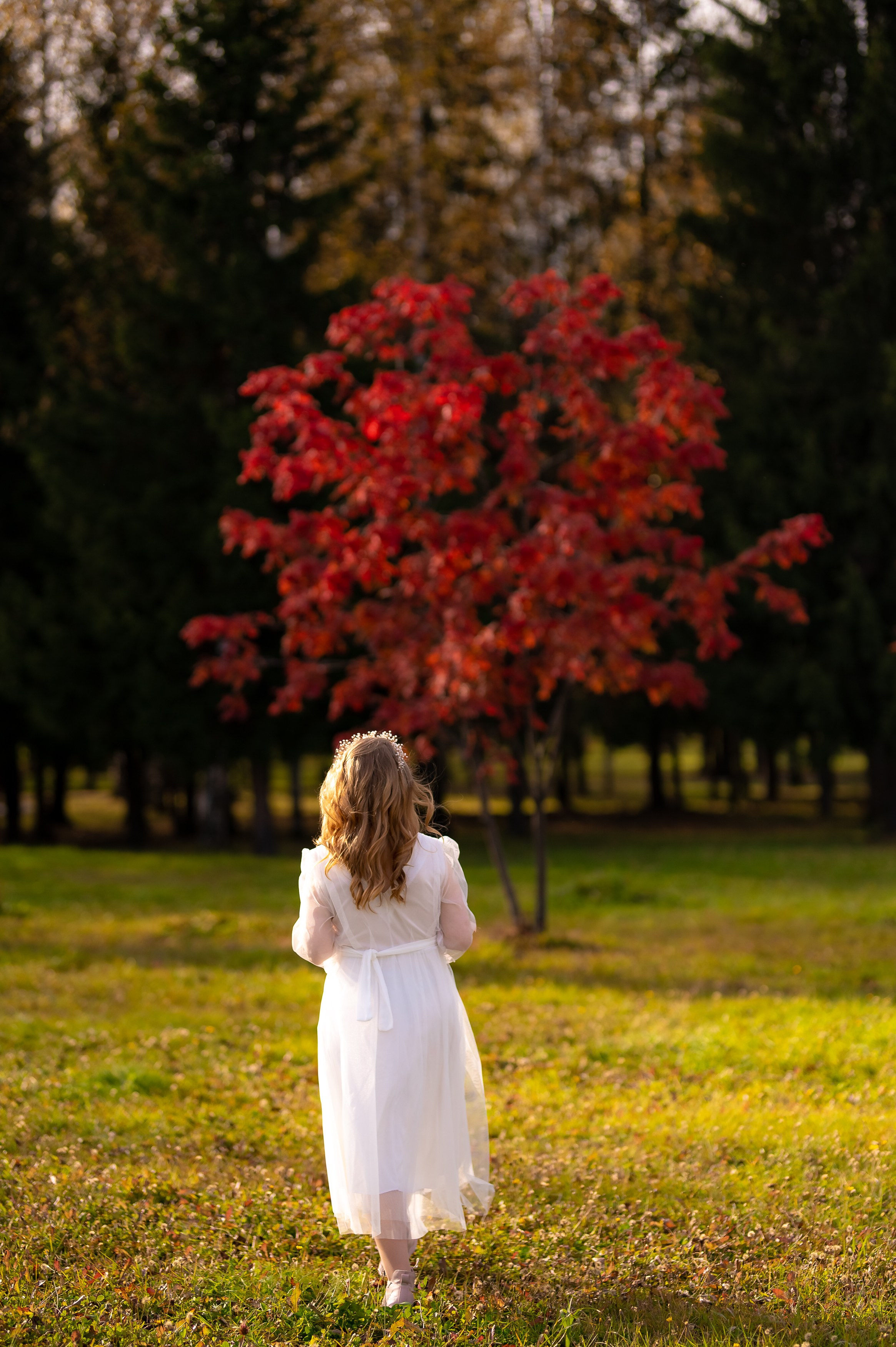 Владимир и Ирина. ProfotoNK