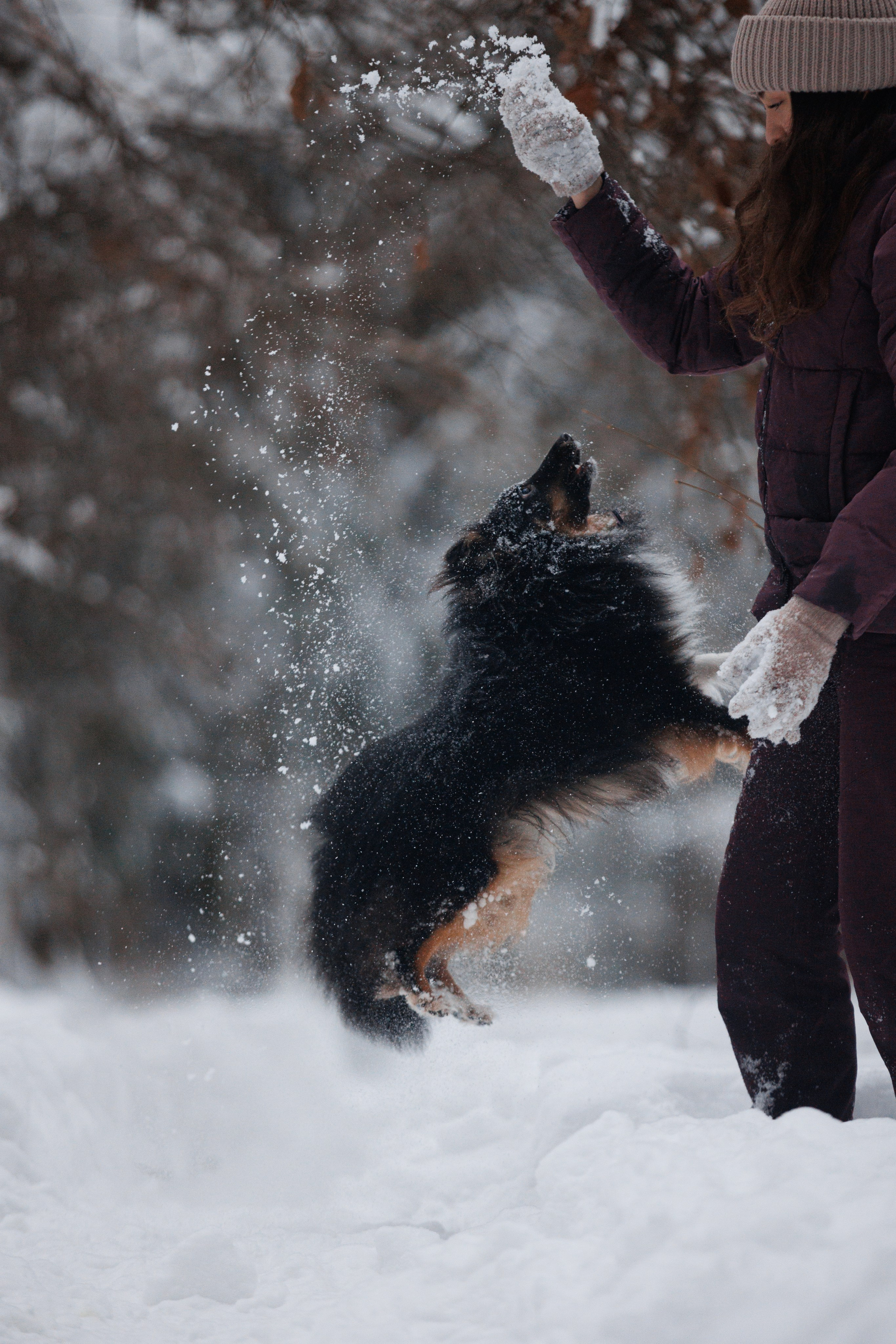 Даша и компания. Фотограф анималист Кристина Карпова, Москва