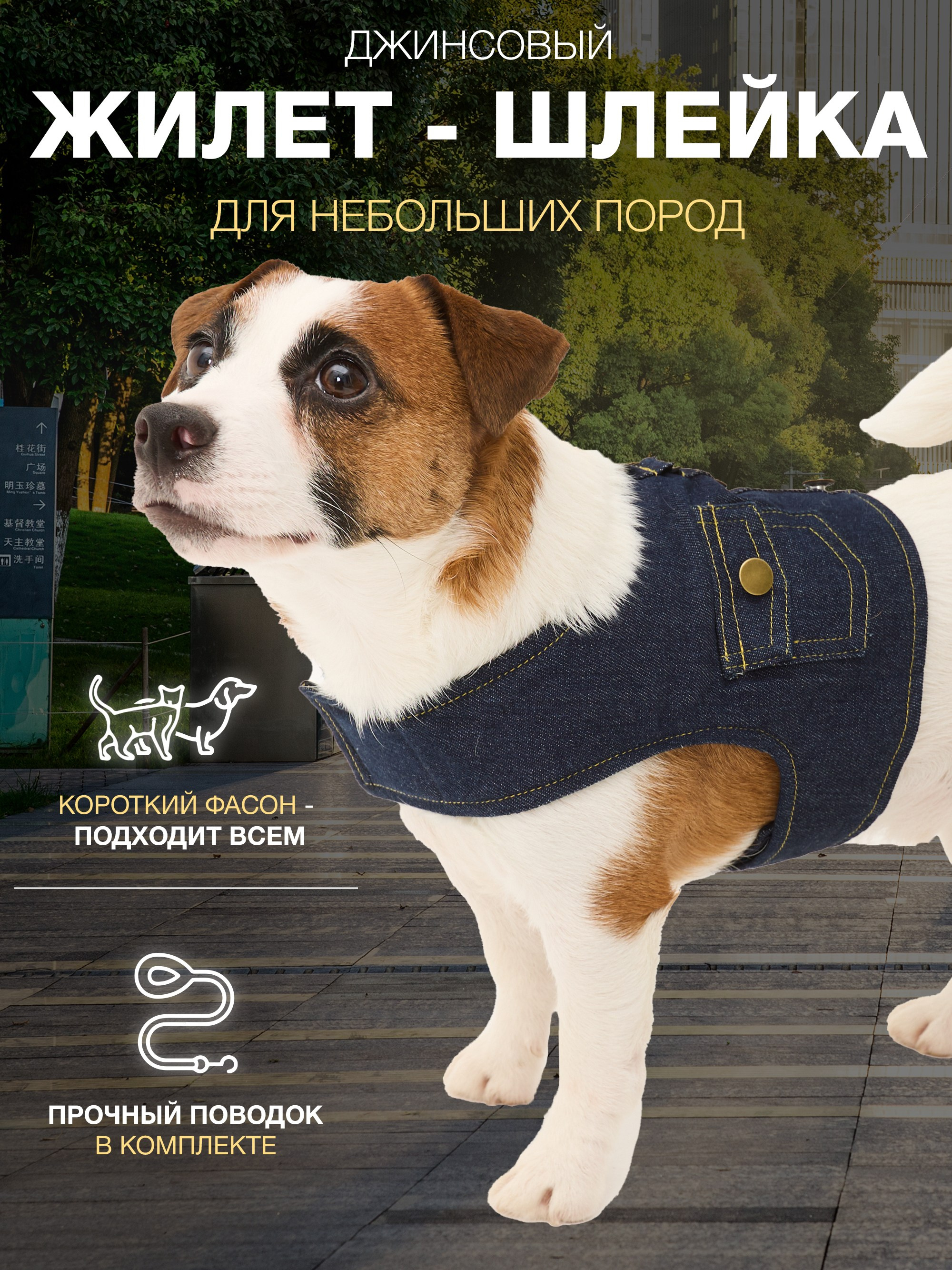 Инфографика. IDeAI studio