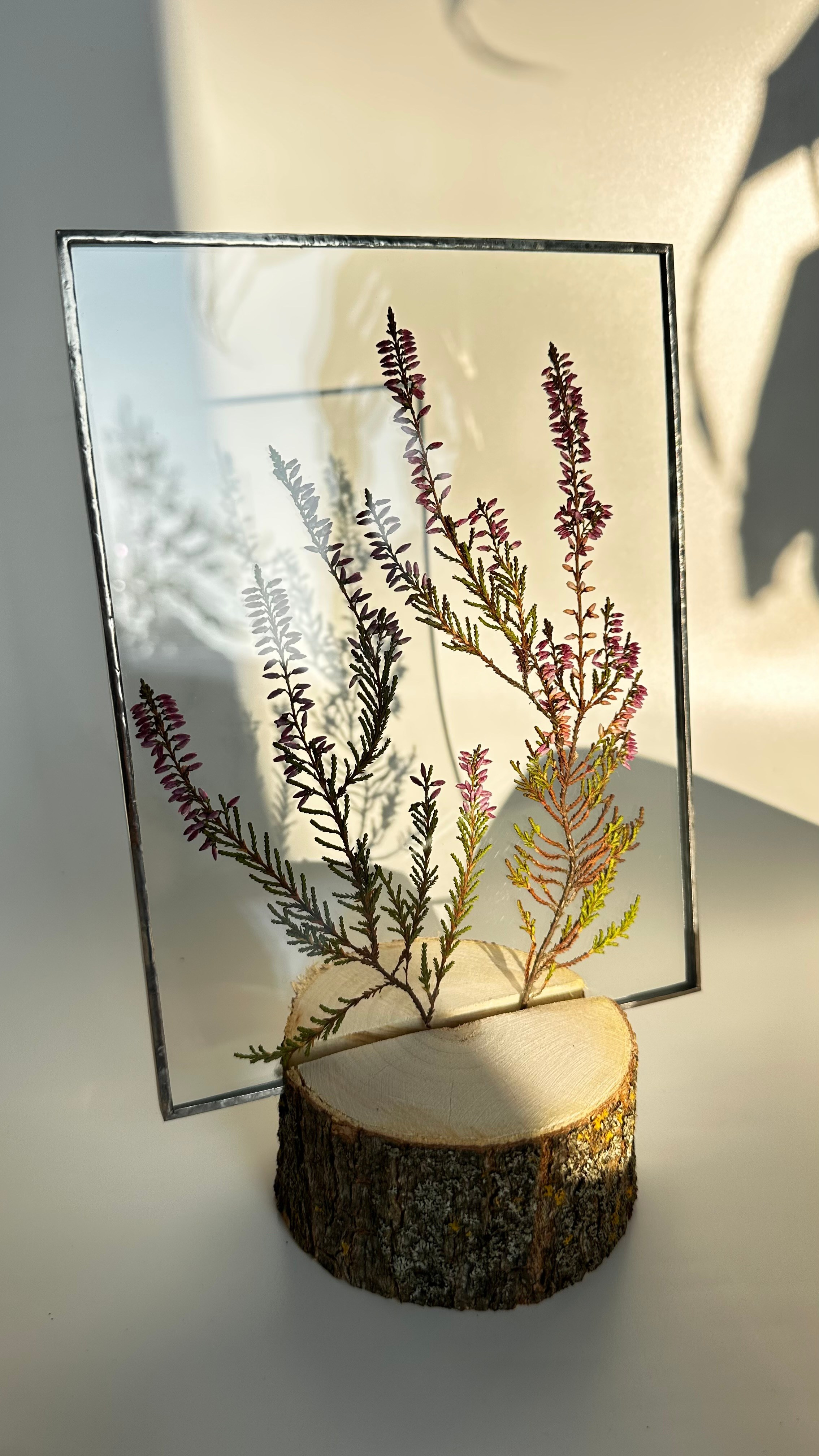 Гербарий в стекле с сухоцветами (витраж в технике тиффани). Гербарий в стекле, интерьерные панно, витражи с сухоцветами в технике тиффани