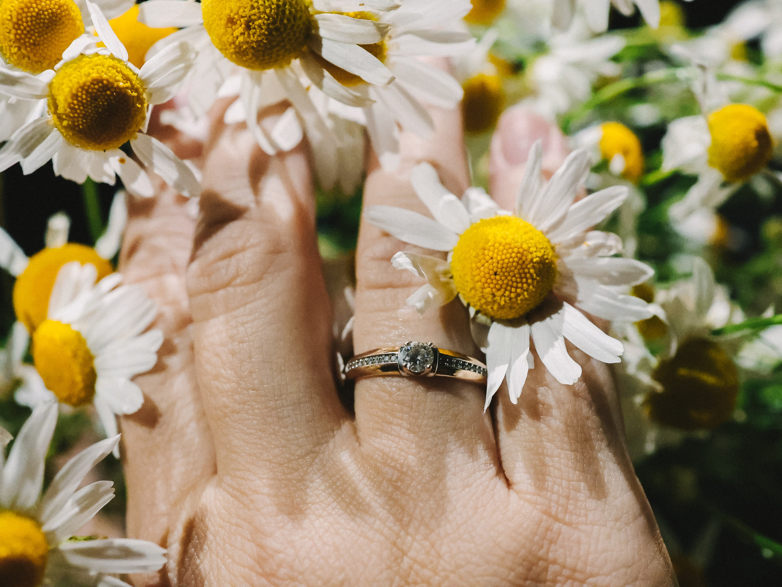 Ев г е н и й + Та т ь я н а. Семейный и детский фотограф в  г. Екатеринбурге Холодова Юлия