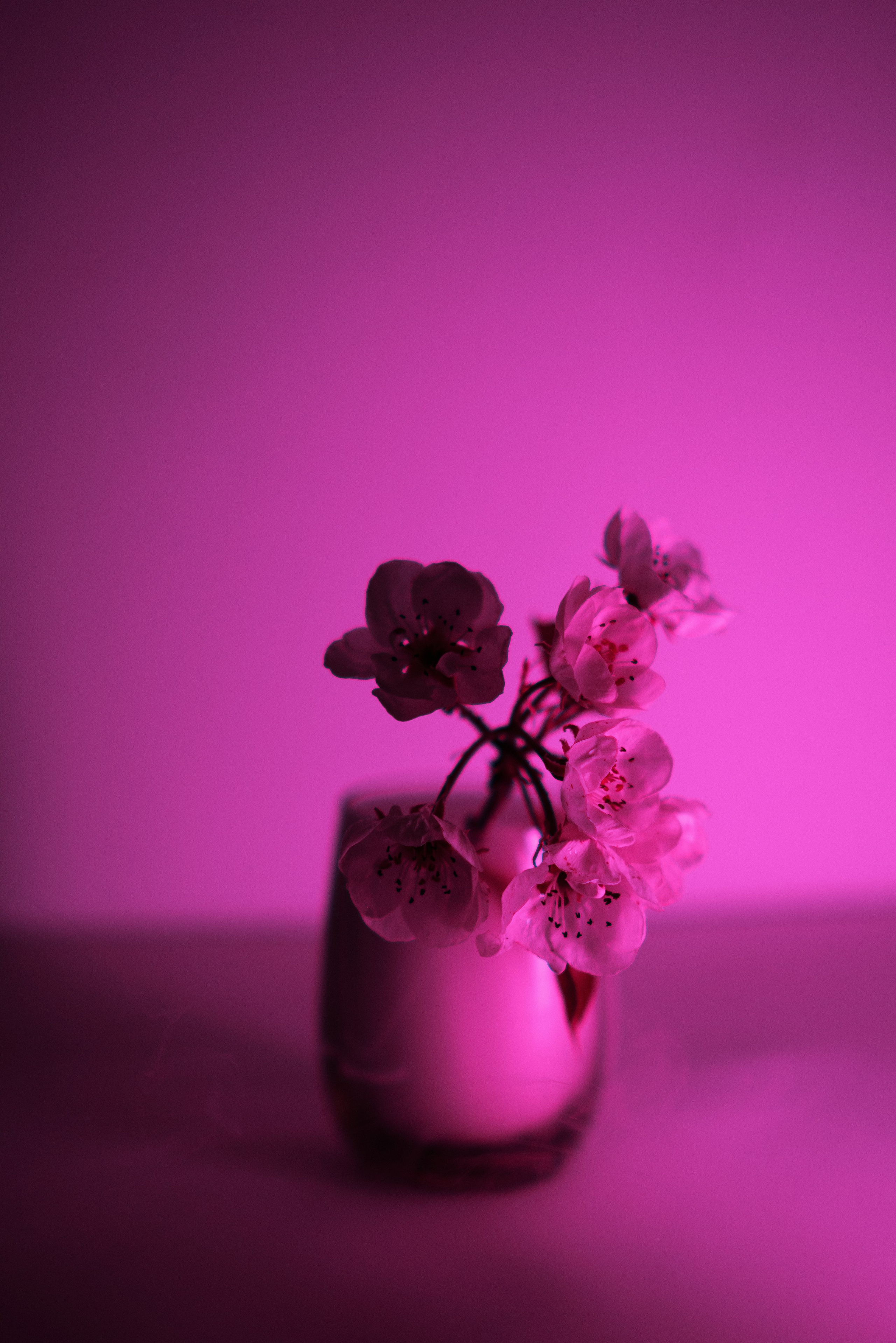 Фотограф в Москве Александр Иванов