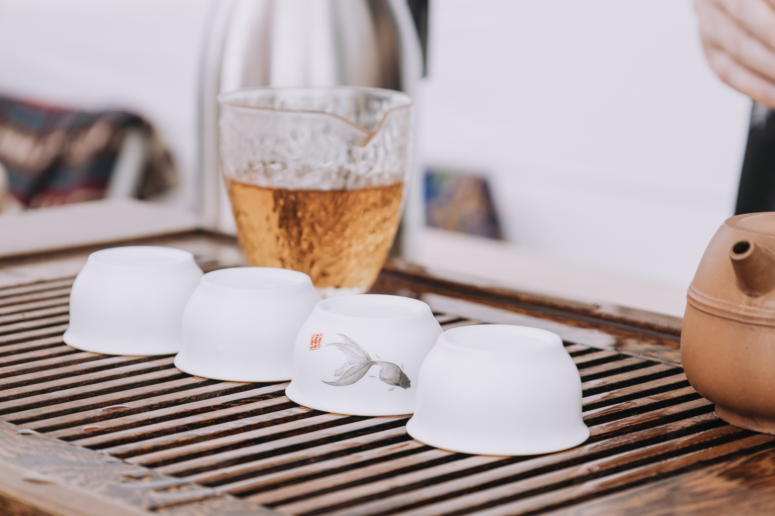 Корпоратив Природа. Репортажный фотограф Анастасия Головко