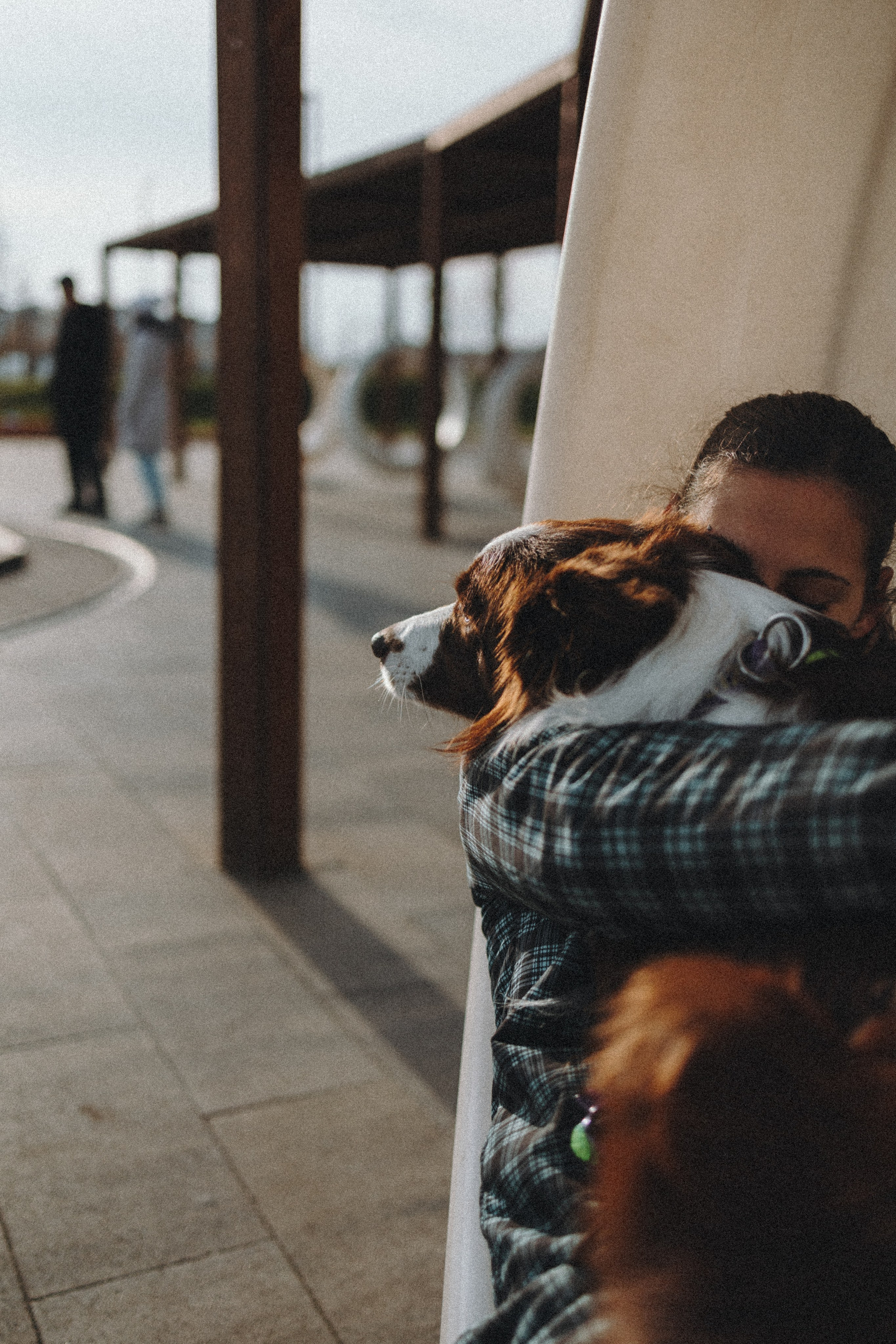 Маша и Тори. Фотограф — анималист Светлана Кысса|фотограф собак в Краснодаре и Нижнем Новгороде