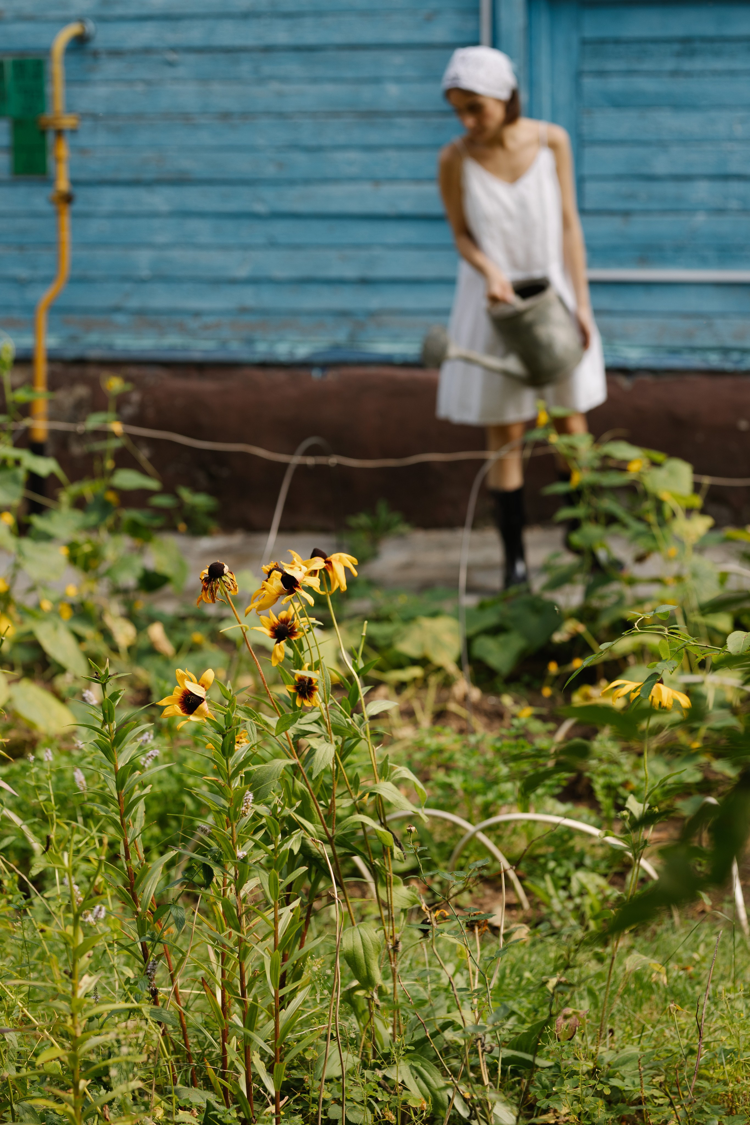 Отчаянная домохозяйка. Cheta Kovalevsky фотографы