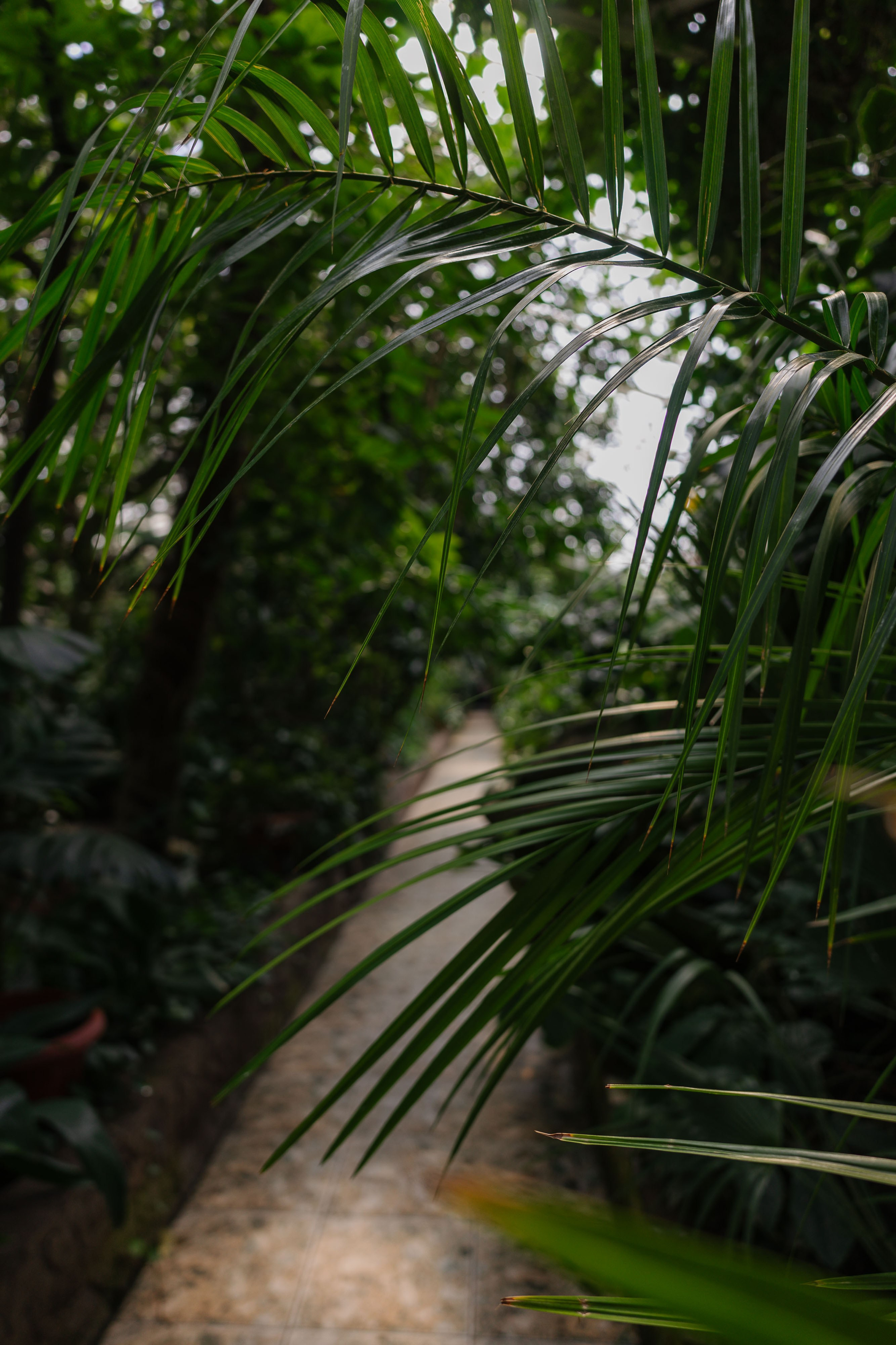 Ботанический сад Уфа. Оранжерея Уфа