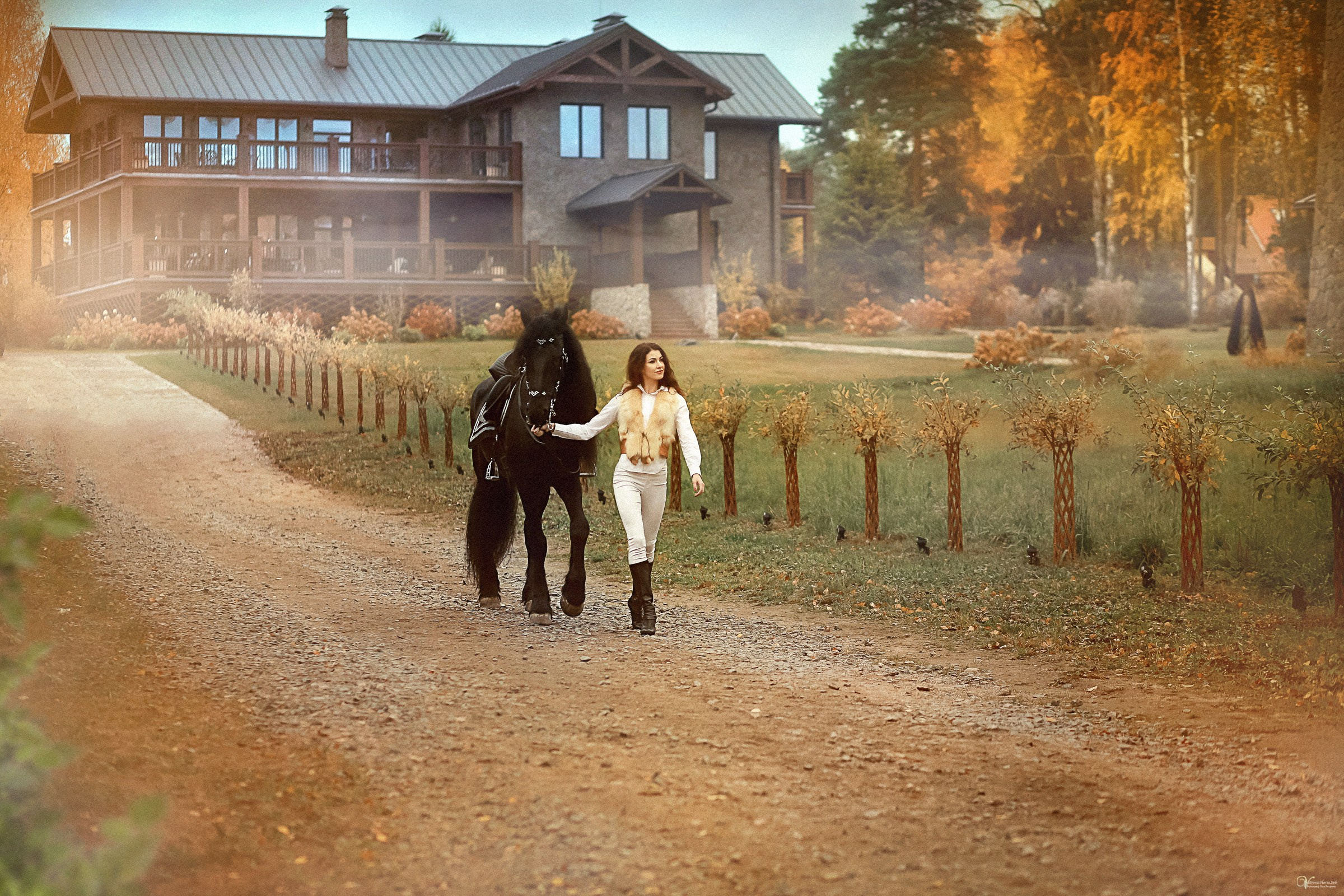 Фотосессии с лошадьми осенью. Фотограф женский и мужской портрет Санкт-Петербург