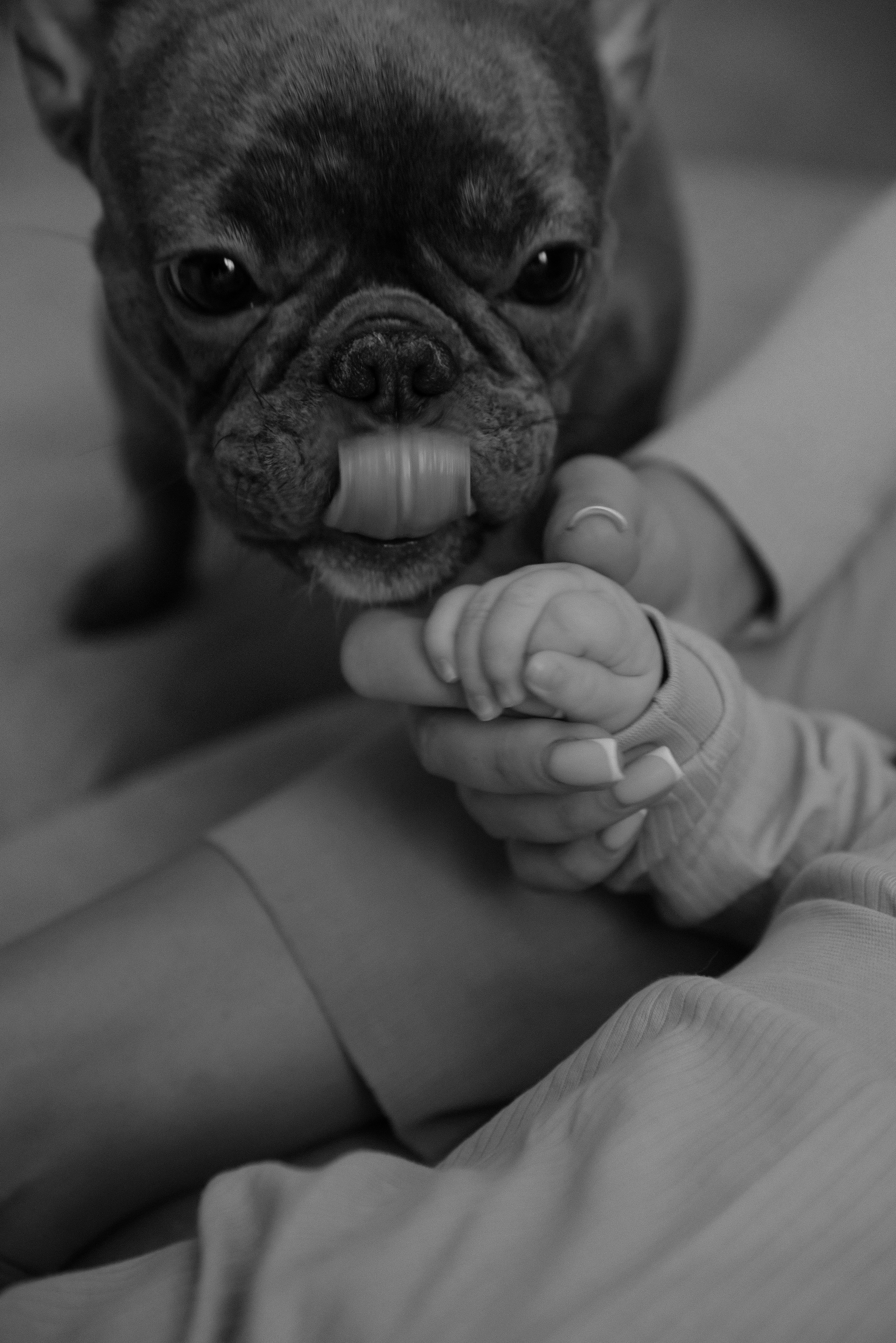 Катя. Свадебный, портретный, фотограф беременности в Нижнем Новгороде Алина Зиновьева