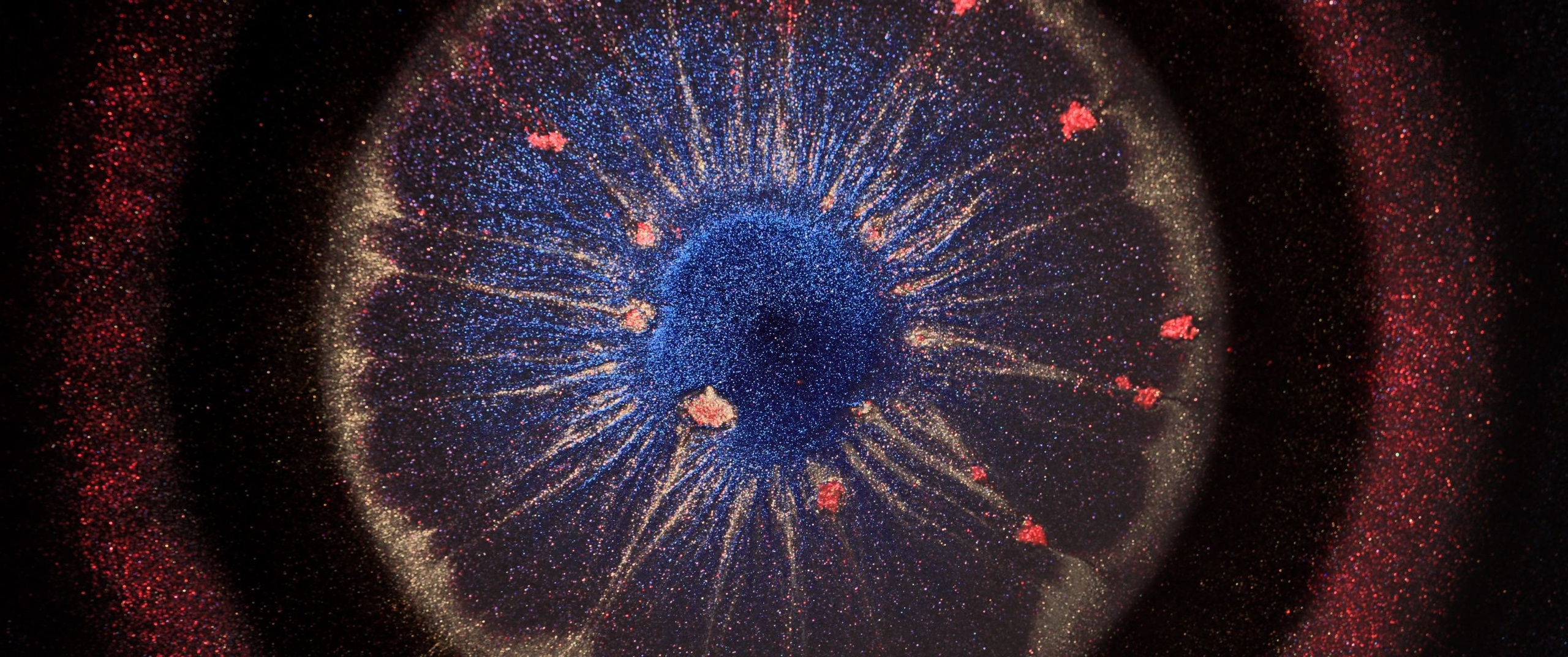 Genesis. Short films by Vadim Sherbakov