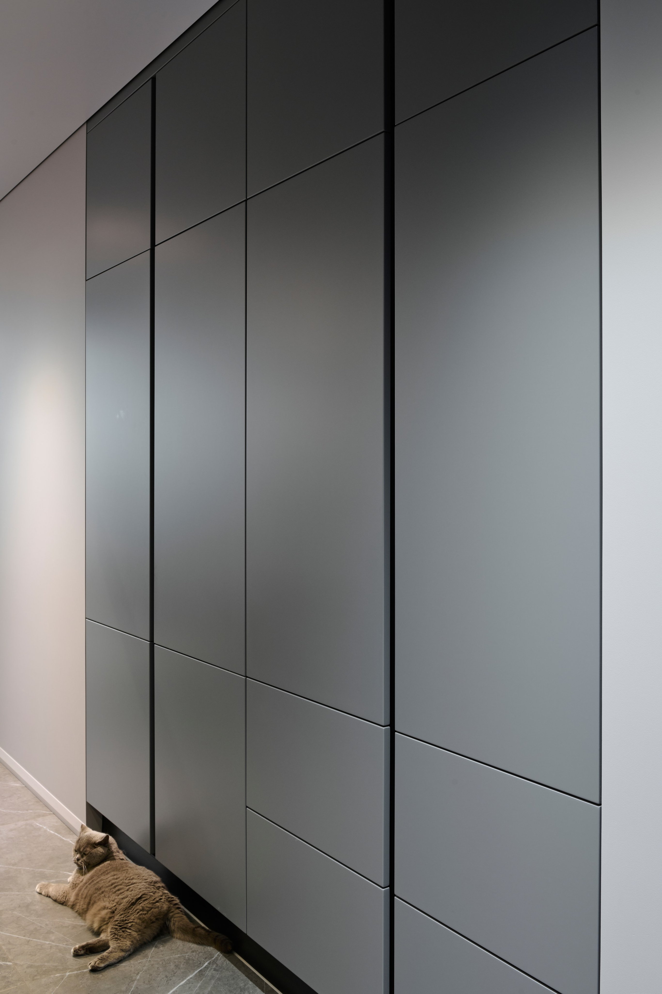 Коридор: серые фасады встроенного шкафа, мягкий свет, перспектива