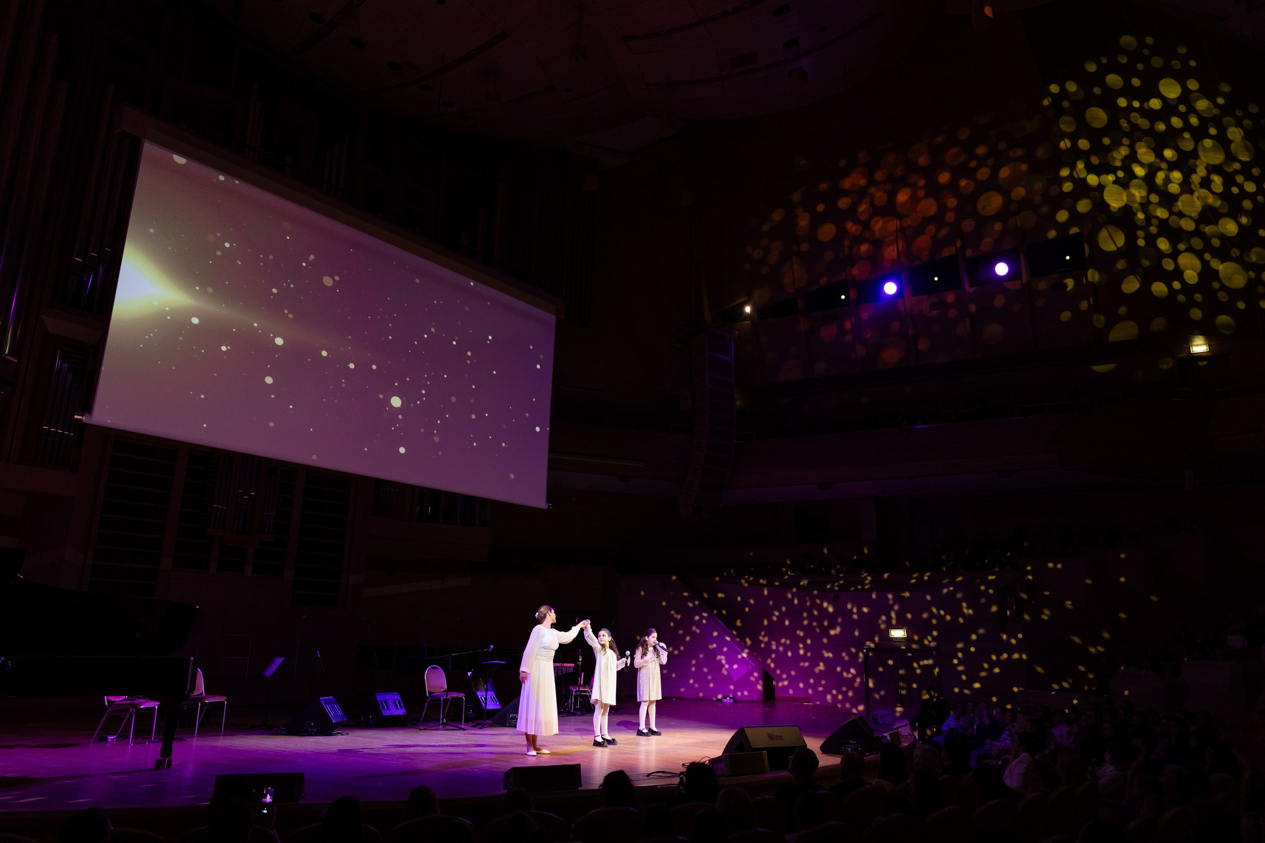 Рождественский концерт (Дом Музыки). Татьяна Чернышова свадебный фотограф Москва