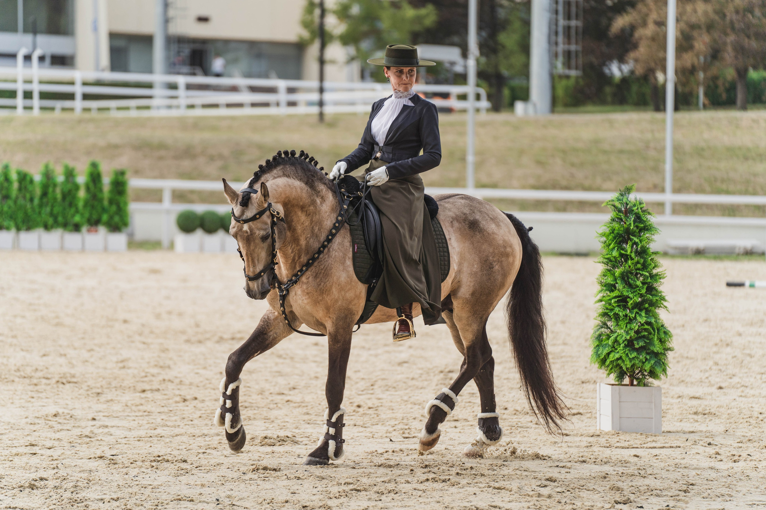 Мастер-класс по рабочей выездке. Фотограф в Москве Ленарская Дарья