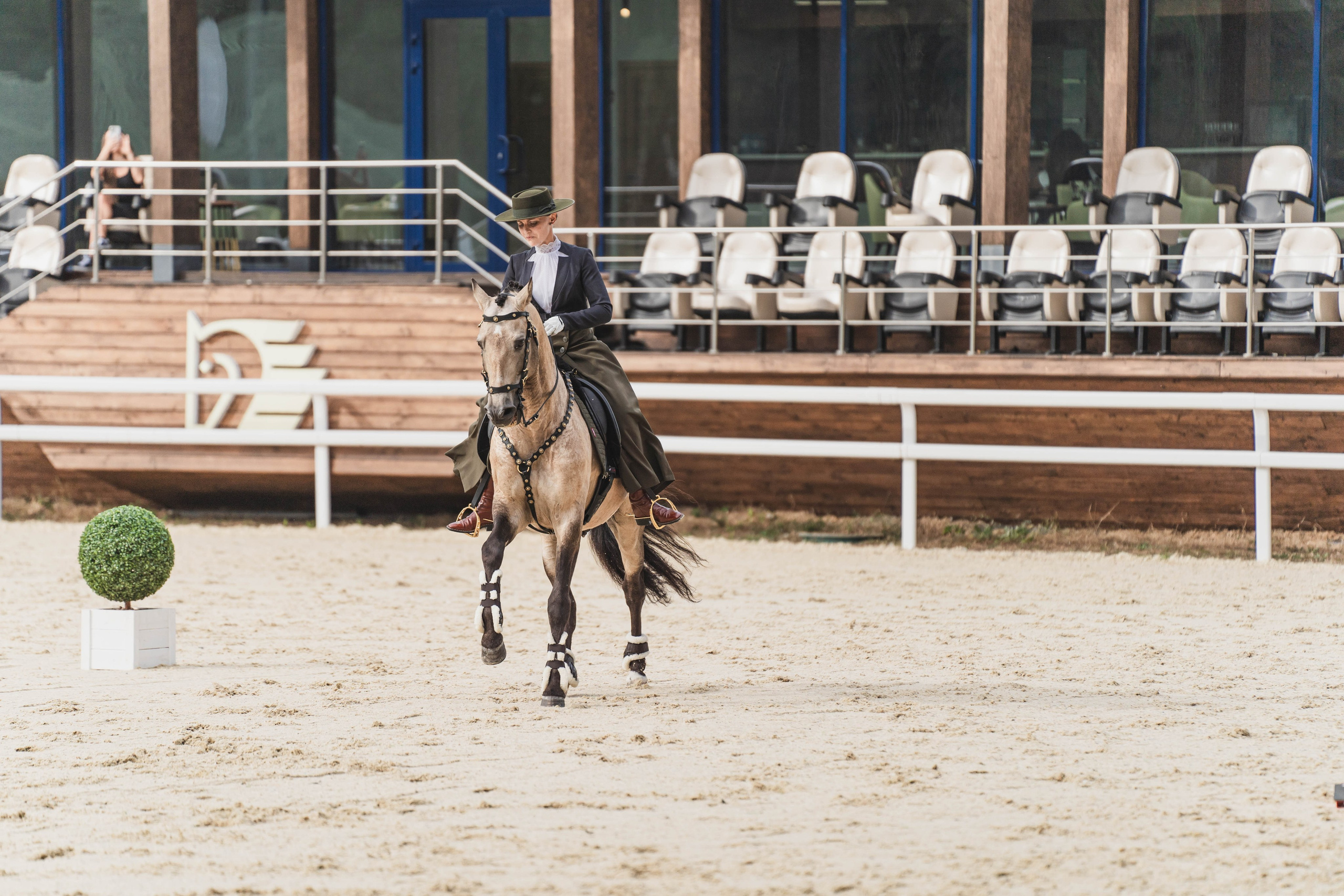 Мастер-класс по рабочей выездке. Фотограф в Москве Ленарская Дарья