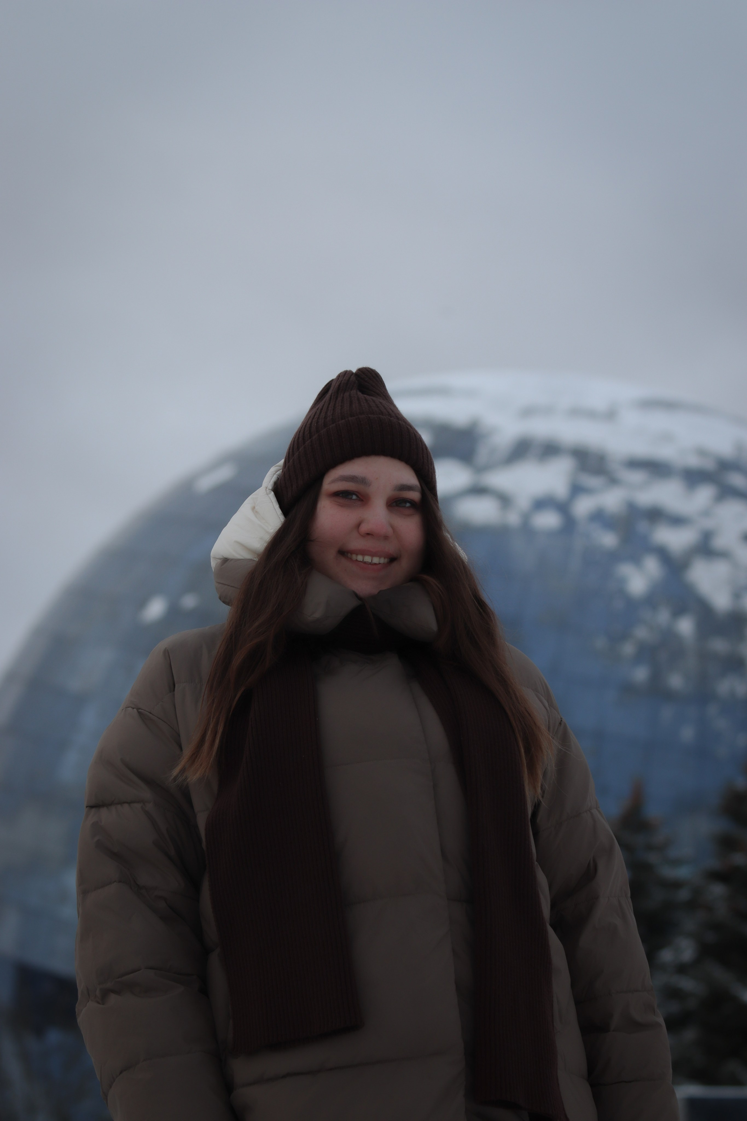 Коринна С. (Музей М.О.). — Digital Noise —