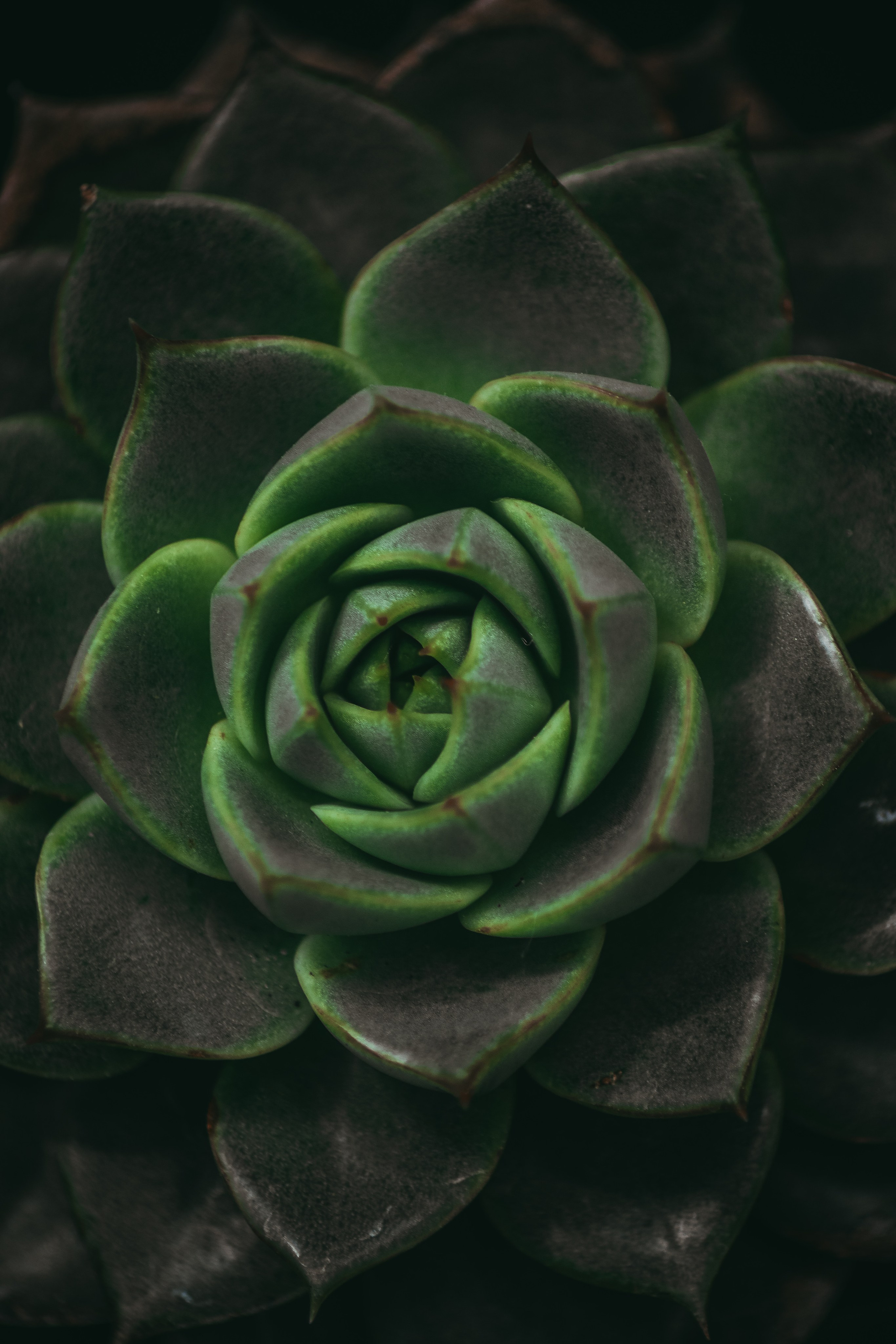 М А К Р О. — Digital Noise —