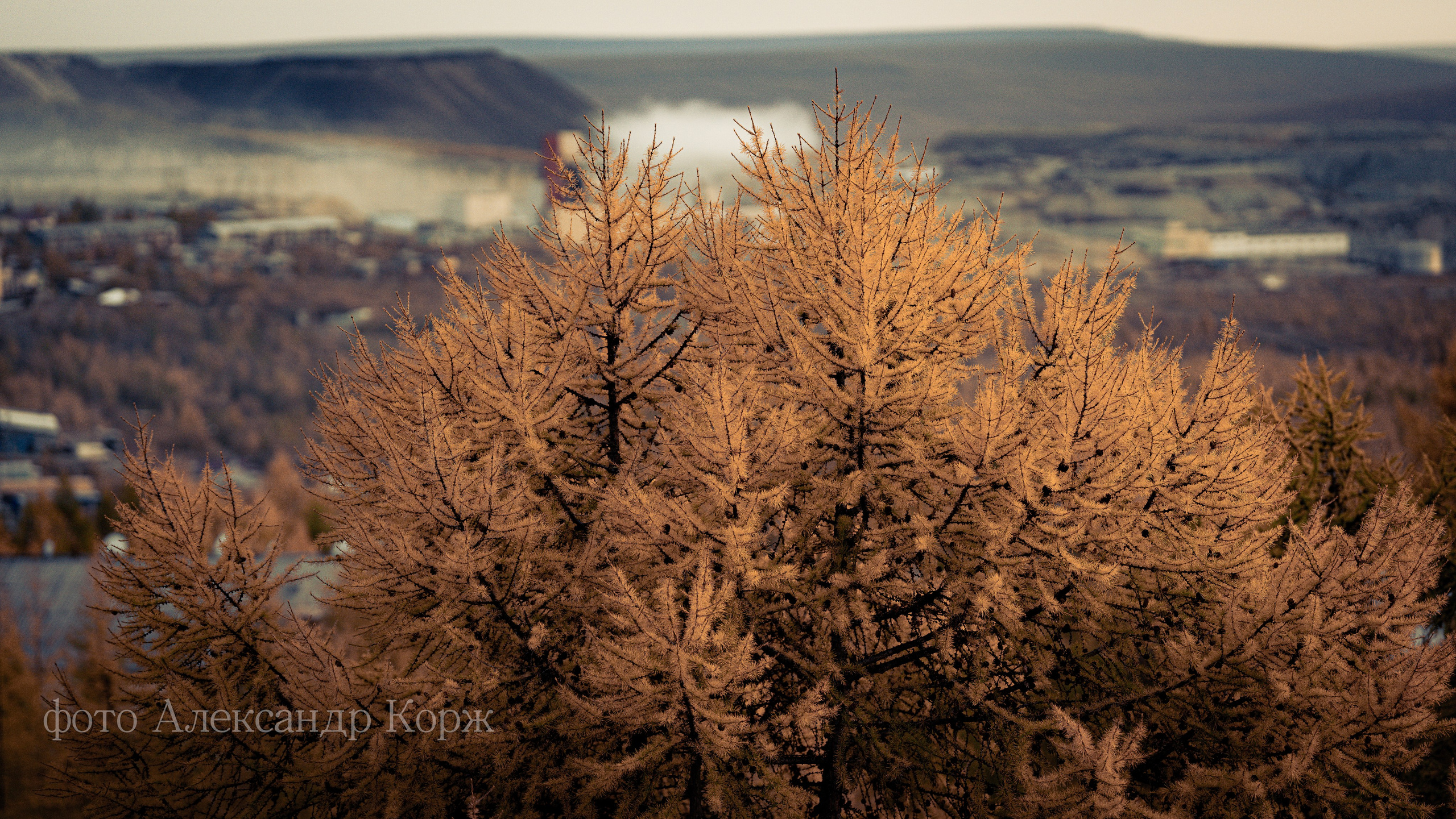 Золотая осень 2025. Айхал. Удачный. Мирный Якутия. Фотографии и видеосъемка, Айхал, Удачный, Якутия. Фотографии Айхал