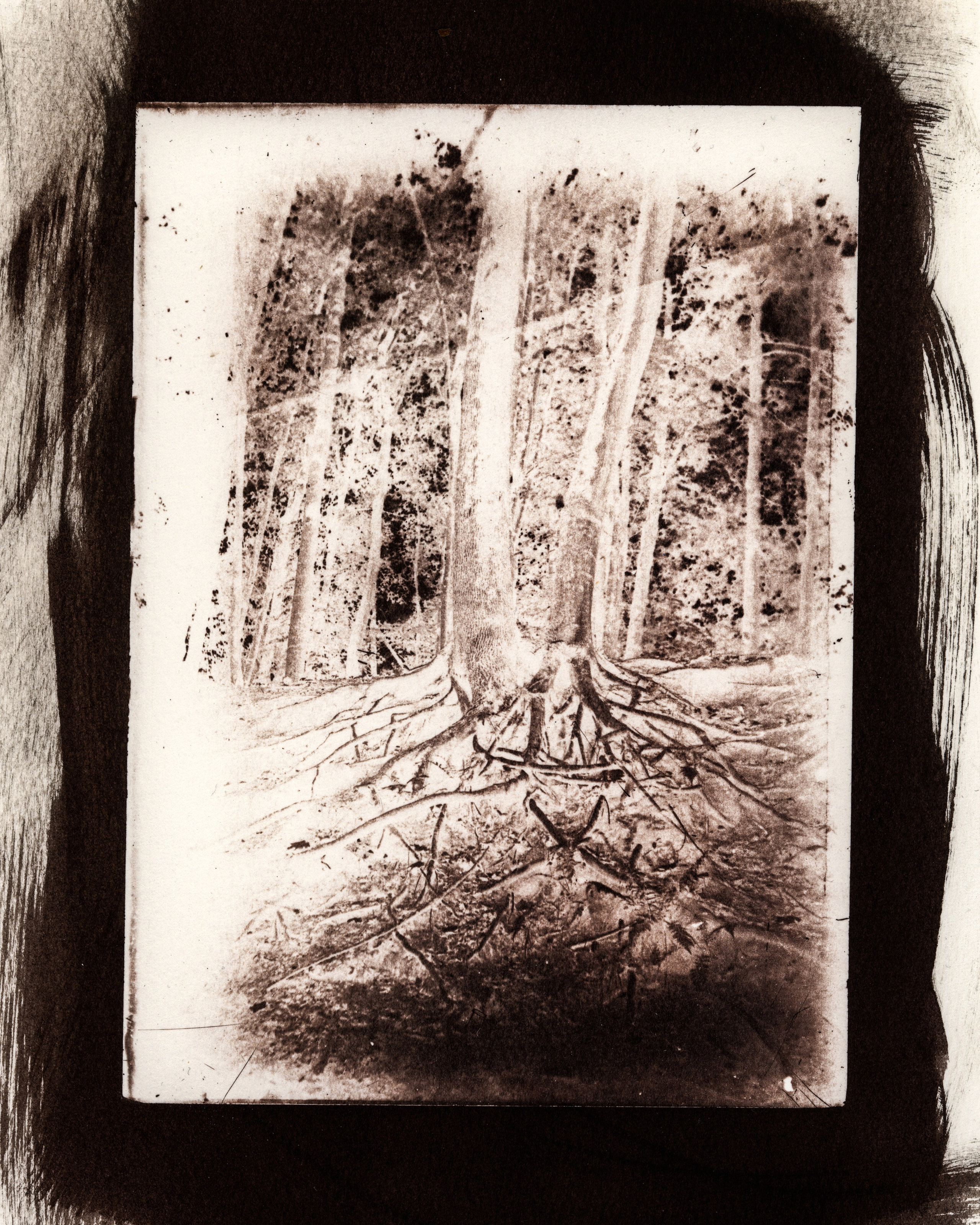Alternative processes | gumoil | cyanotype | van dyke. Darkroom aesthetics