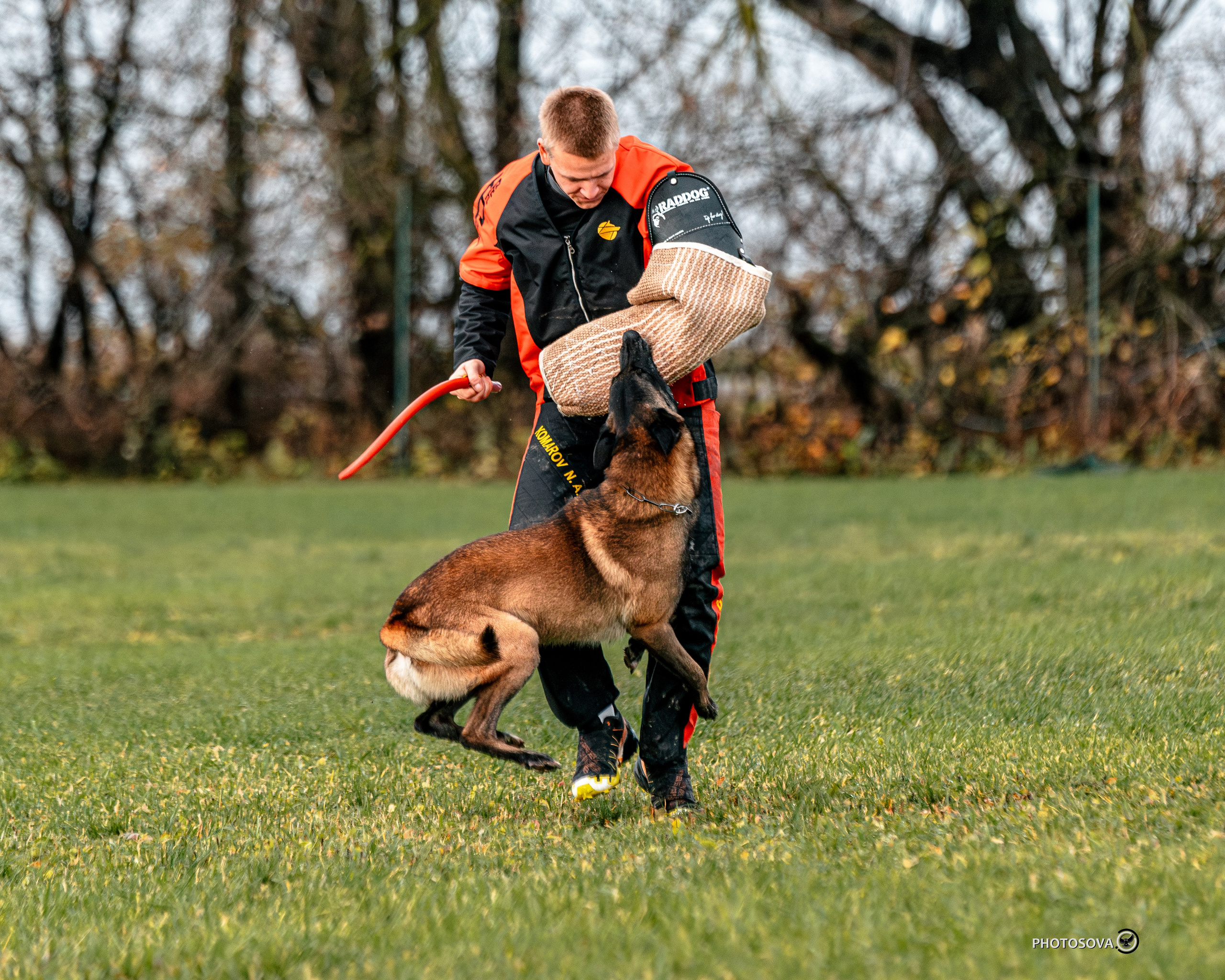 МЫ — КОМАНДА (соревнования) OKD, BH, IBGH, IGP. Фотограф-анималист, семейный фотограф в Москве и Подмосковье. Фотосъёмка кинологических дисциплин